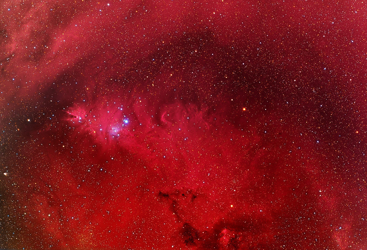 Nebulosity around NGC 2264 from partially processed data