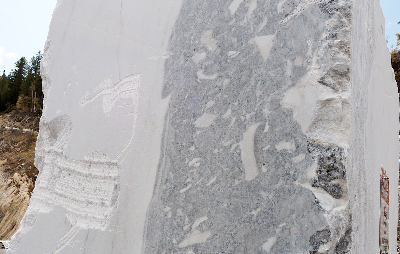 Rock slab showing transition between white marble and limestone.   White marble in the Yule quarry formed by metamorphism of Leadville limestone in an area domed up and heated by a Tertiary igneous intrusion.
