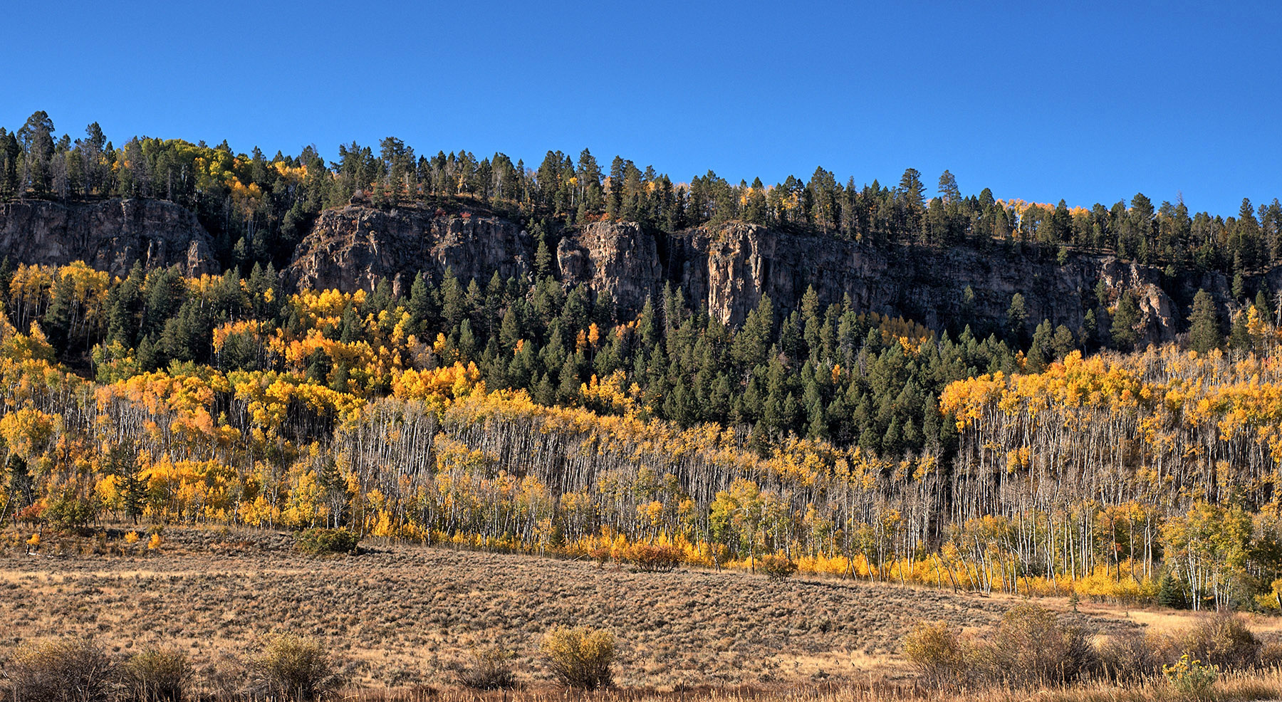 Aspen and Tertiary volcanic rocks and tuff border US Highway 50 approaching Gunnison CO.