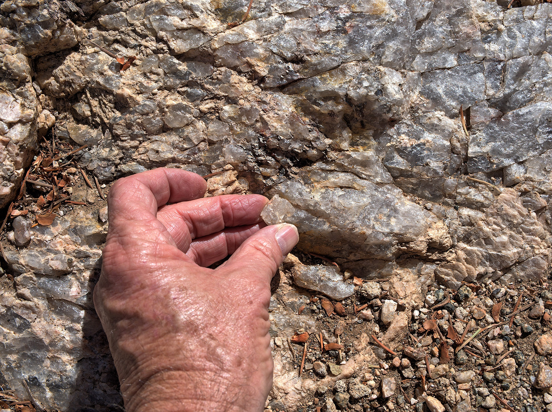 Closeup of pegmatite vein dominated by pink K-feldspar.