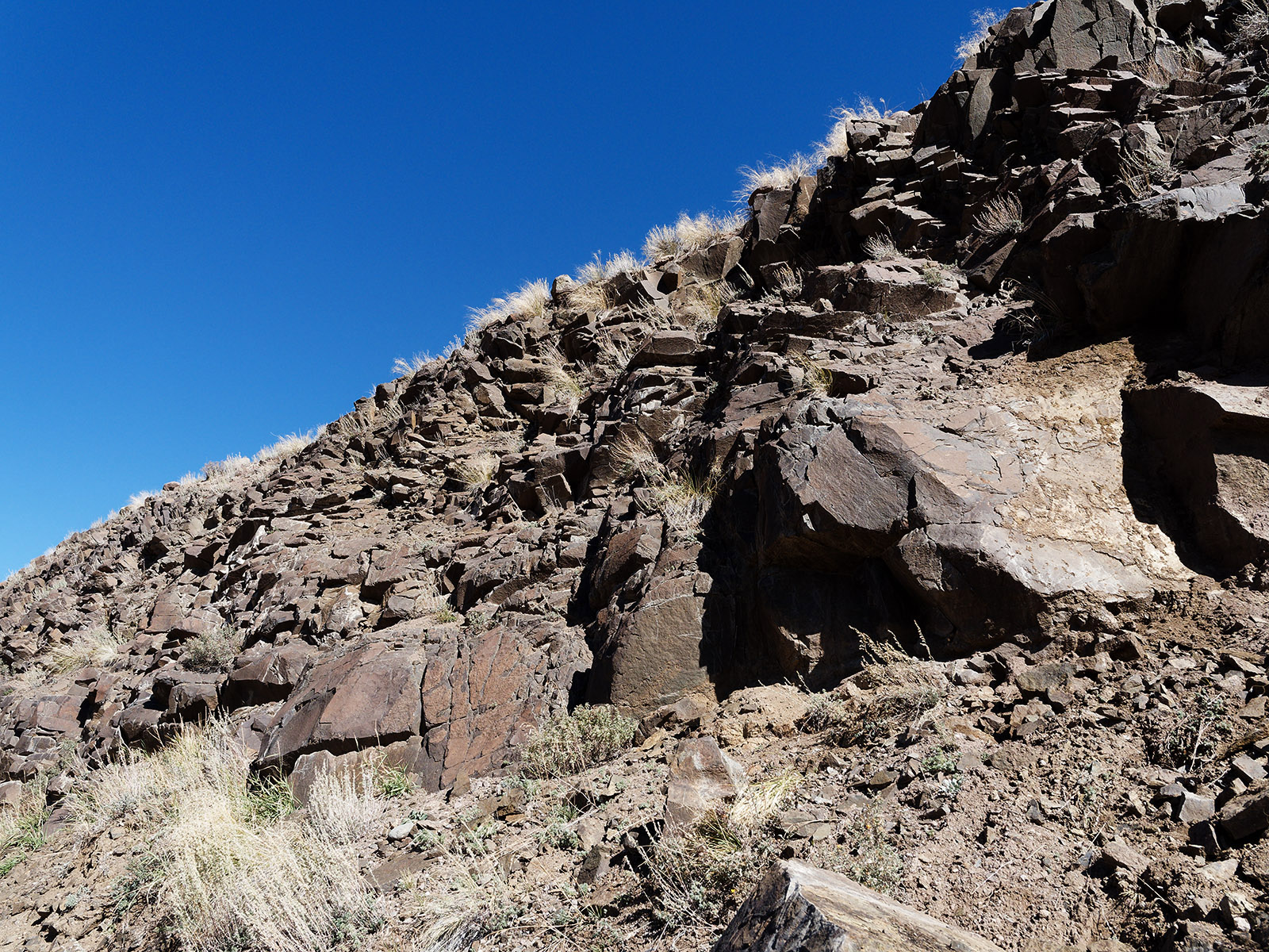 Roadcut basalt near Creede.