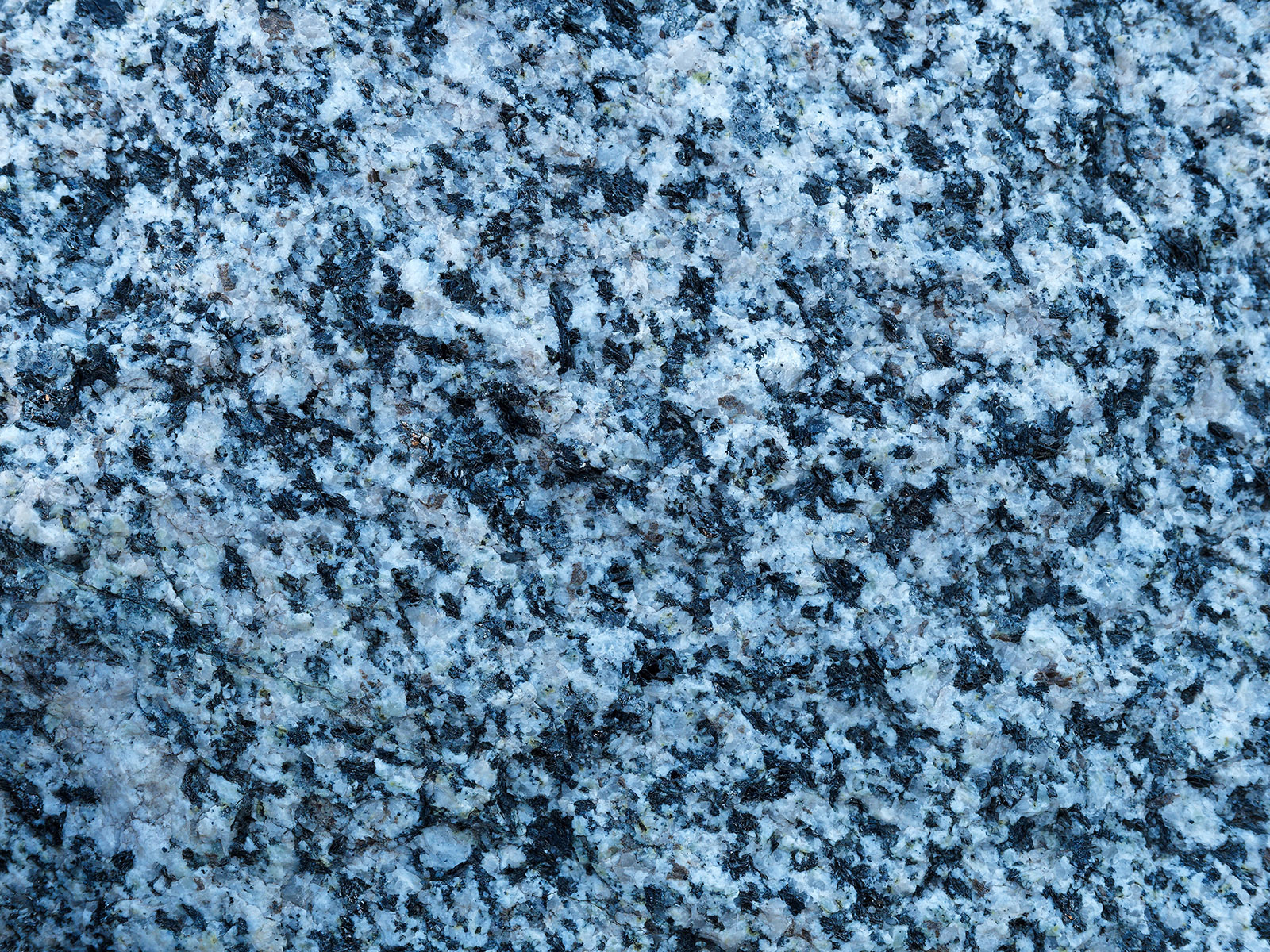 Precambrian granite at Independence Pass.