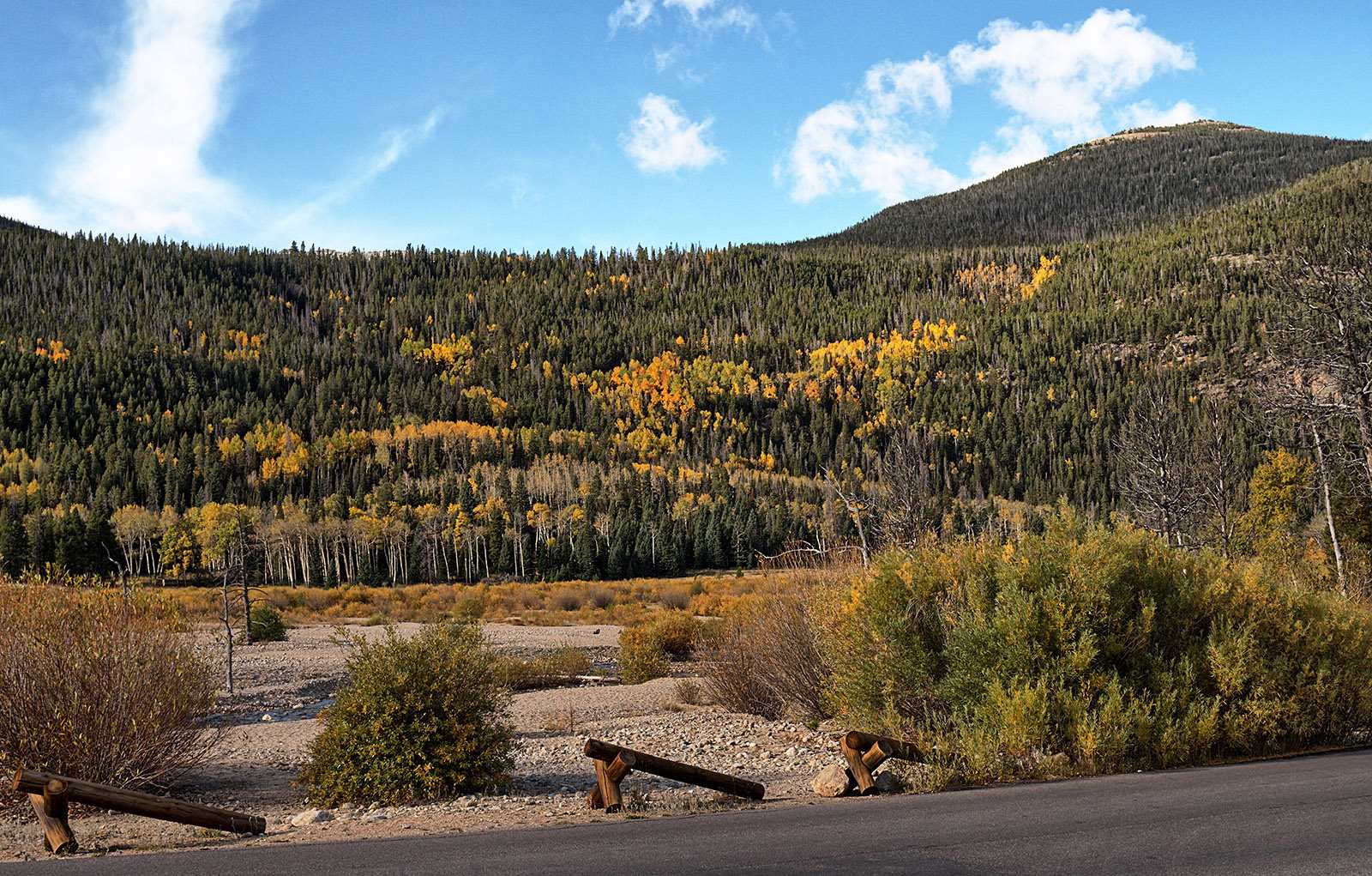 Aspen and Pines on Fall River Valley wall at the West Alluvial Fan.