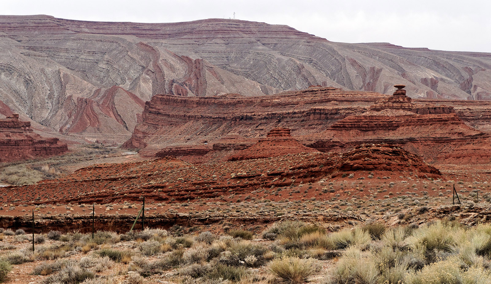 Eroded and lifted-distorted shale and limestone strata near Mexican Hat, Utah.