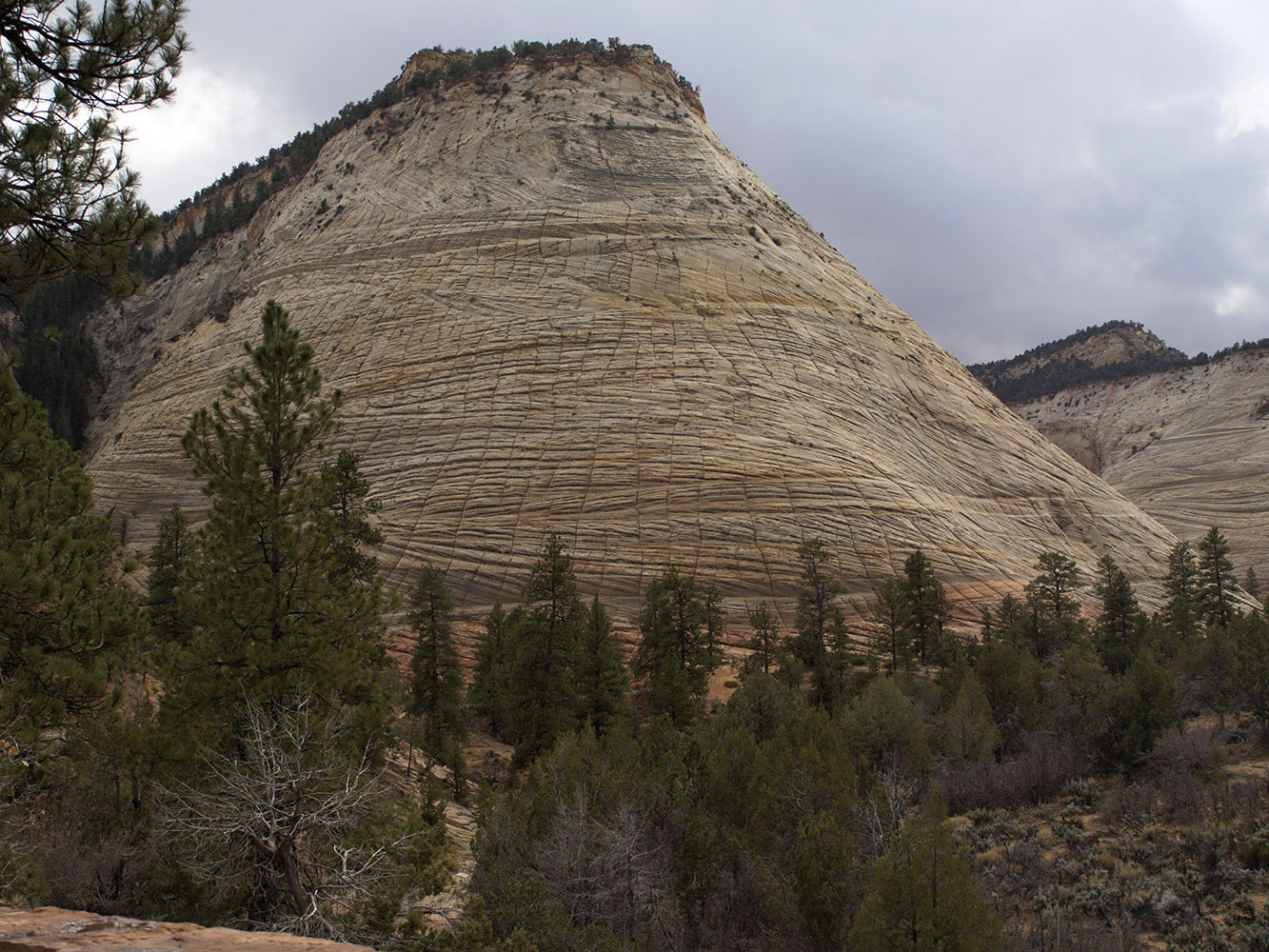 Checkerboard Mesa, crossbedded sandstone layers with vertical fractures,  Zion National Park, Utah.