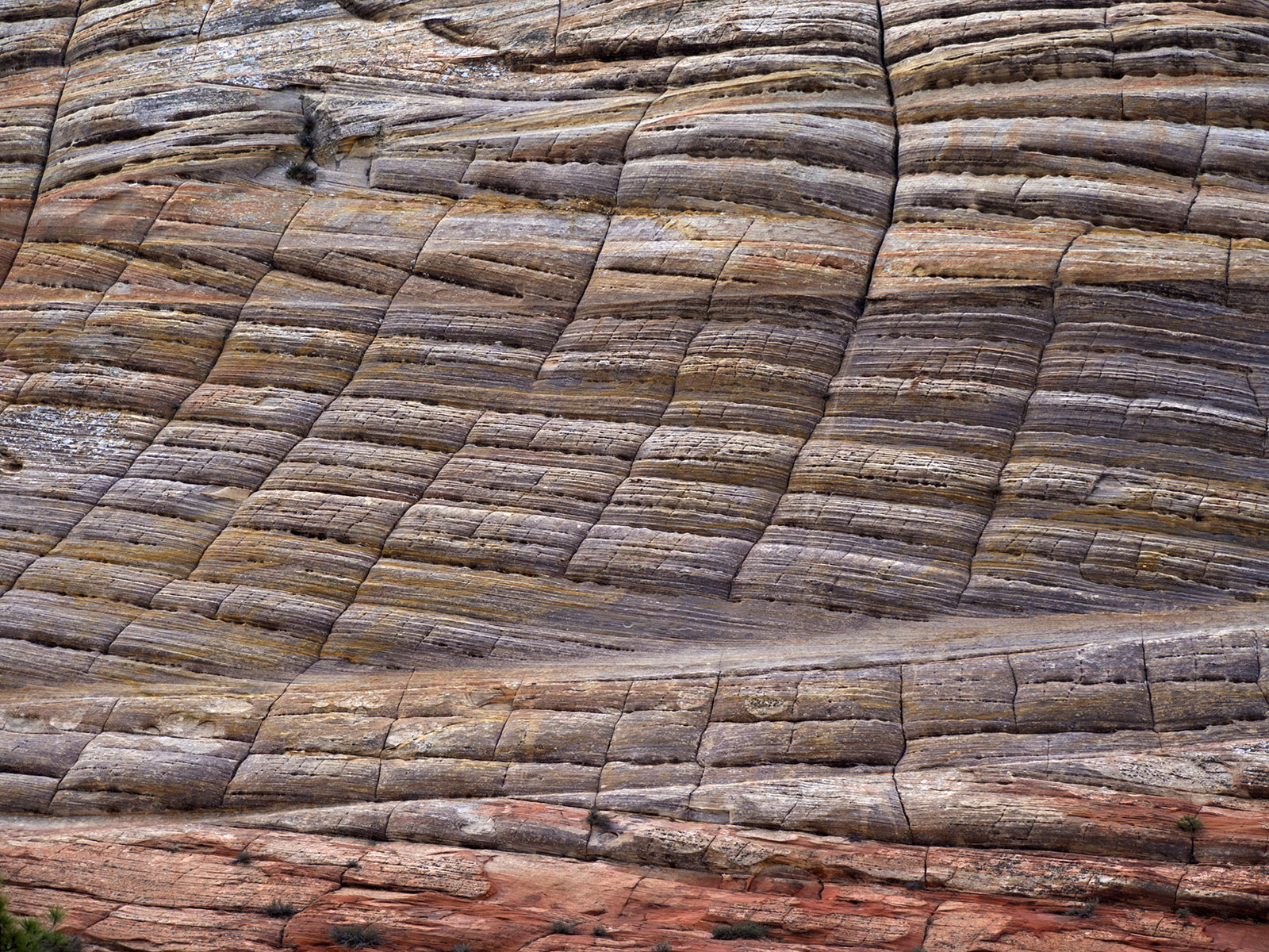 Checkerboard Mesa, detail of crossbedded sandstone layers deposited in the Jurassic Period (200-145 million years ago).