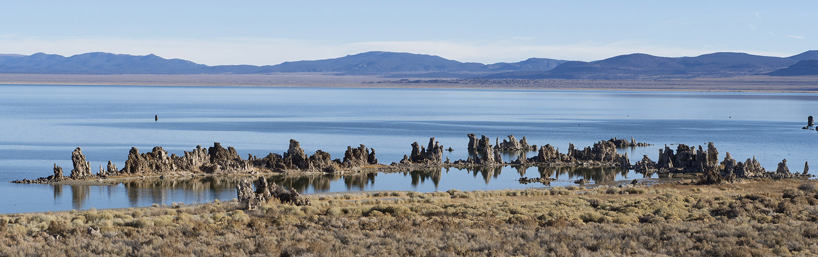 Tufa towers in Mono Lake:  Calcium carbonate deposits form when calcium rich waters from hot springs mix with carbonate-rich lake water.