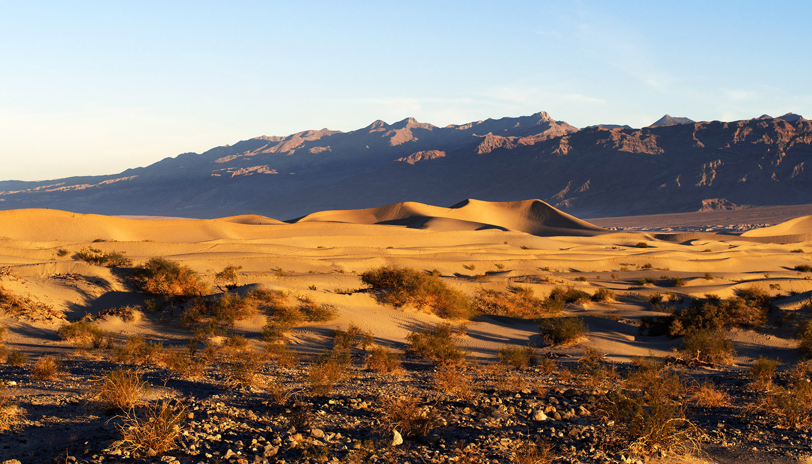 Mesquite Flat Sand Dunes at dawn.