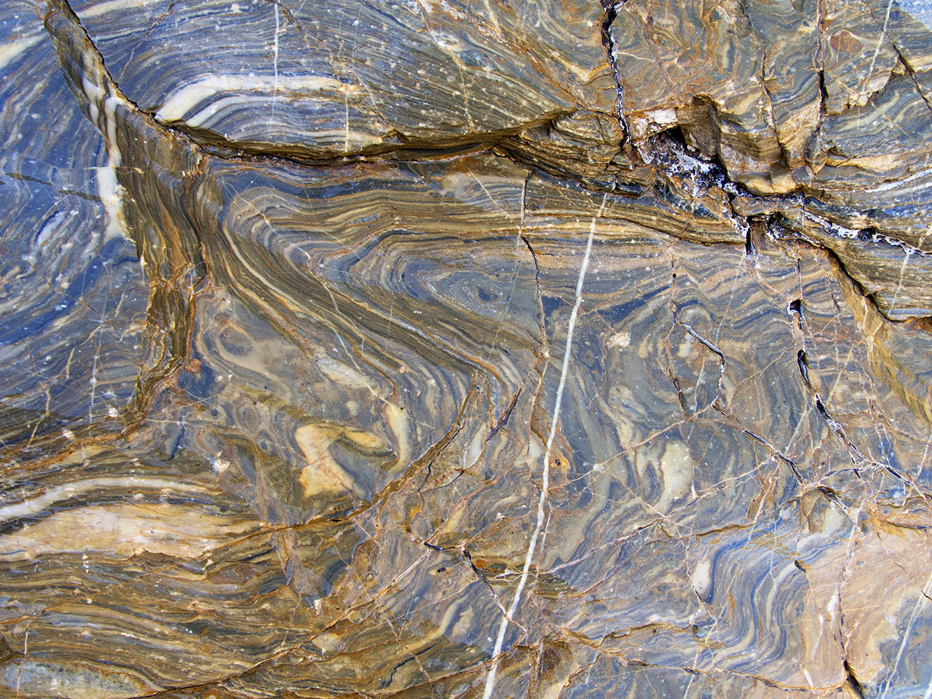 Mosaic Canyon – Polished dolomite marble; wetted with water.