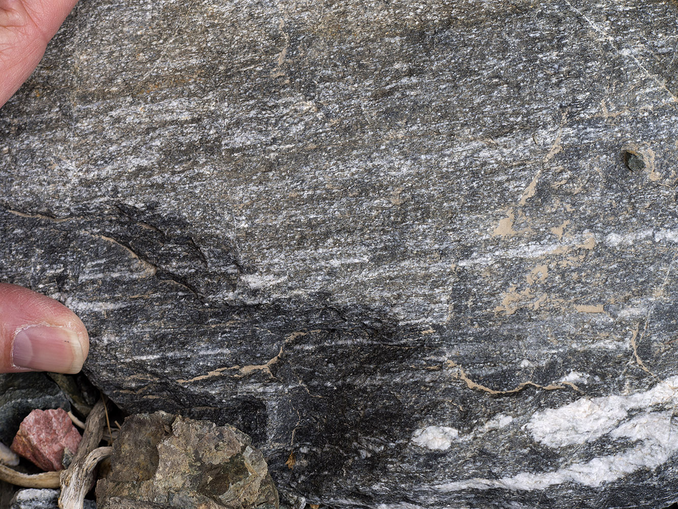 Badwater turtleback fault area metamorphic rock:  Gneiss