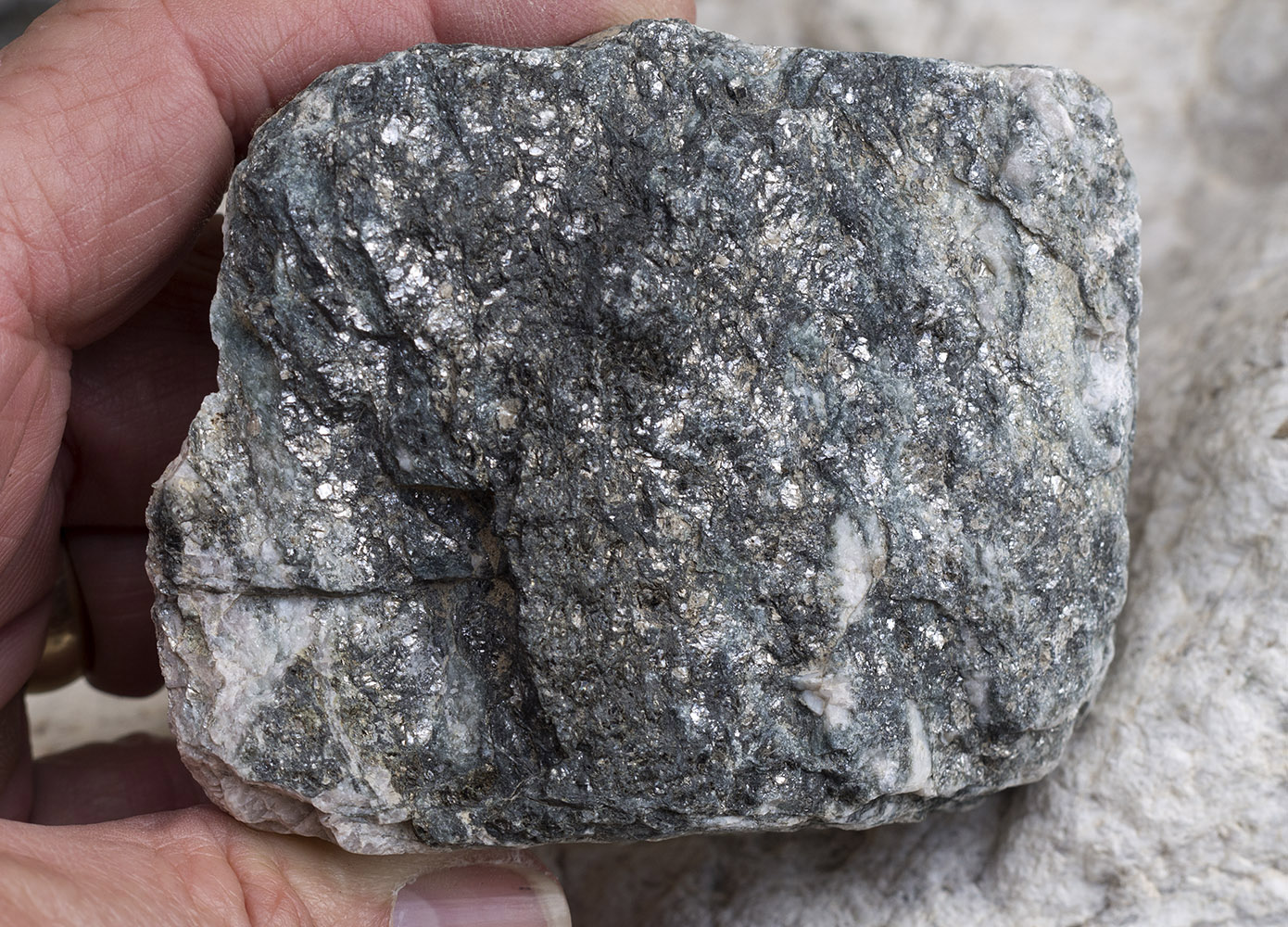 Badwater turtleback fault area metamorphic rock:  Schist with heavy mica deposits