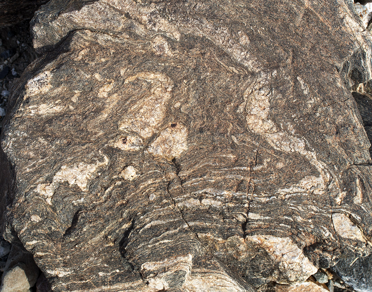 Badwater turtleback fault area metamorphic rock:  Folded gneiss
