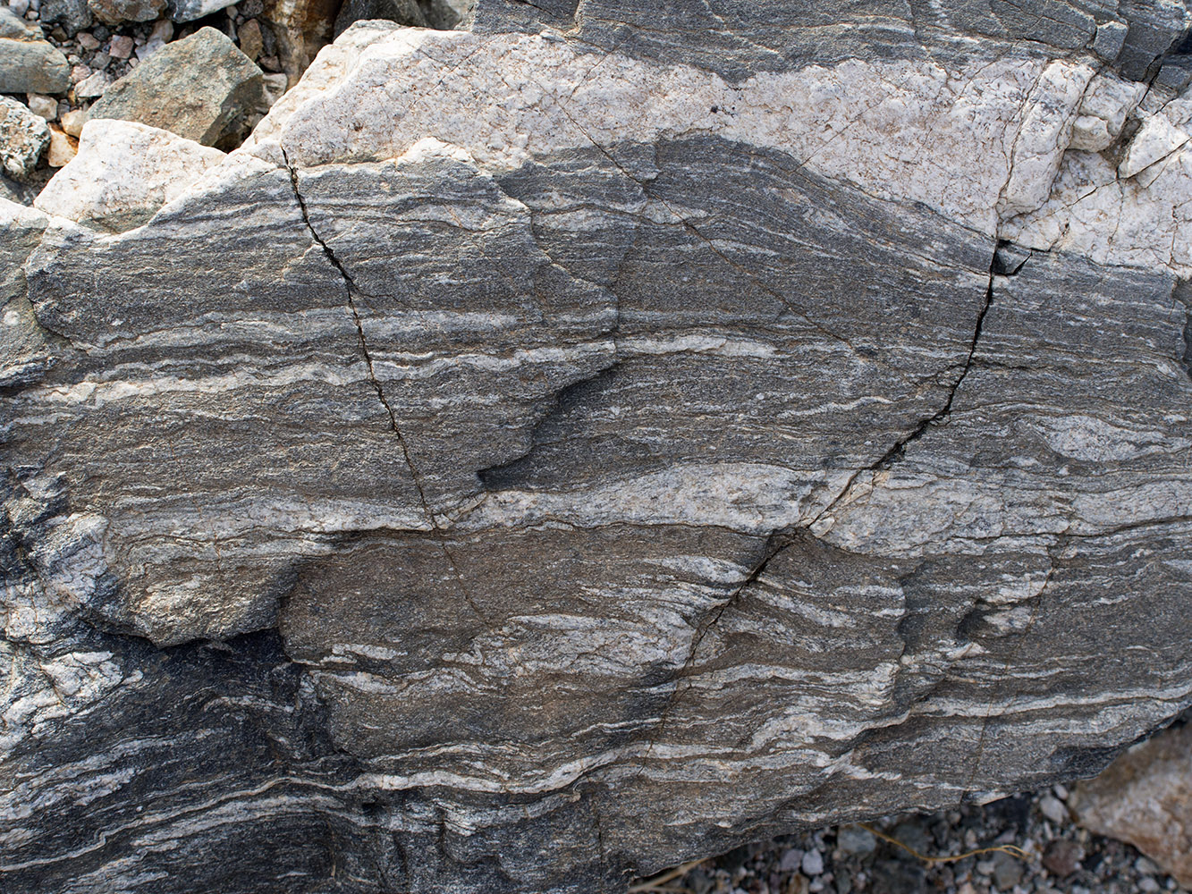 Badwater turtleback fault area metamorphic rock:  Gneiss with fractures and pegmatite intrusions