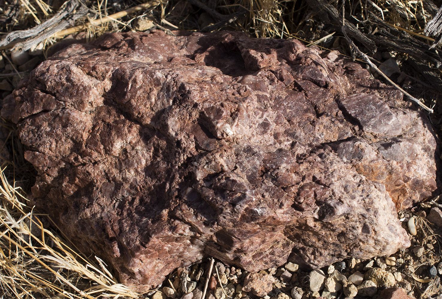 Weathered conglomerate limestone rock in the wash next to Titus Canyon Road on the way to Red Pass.