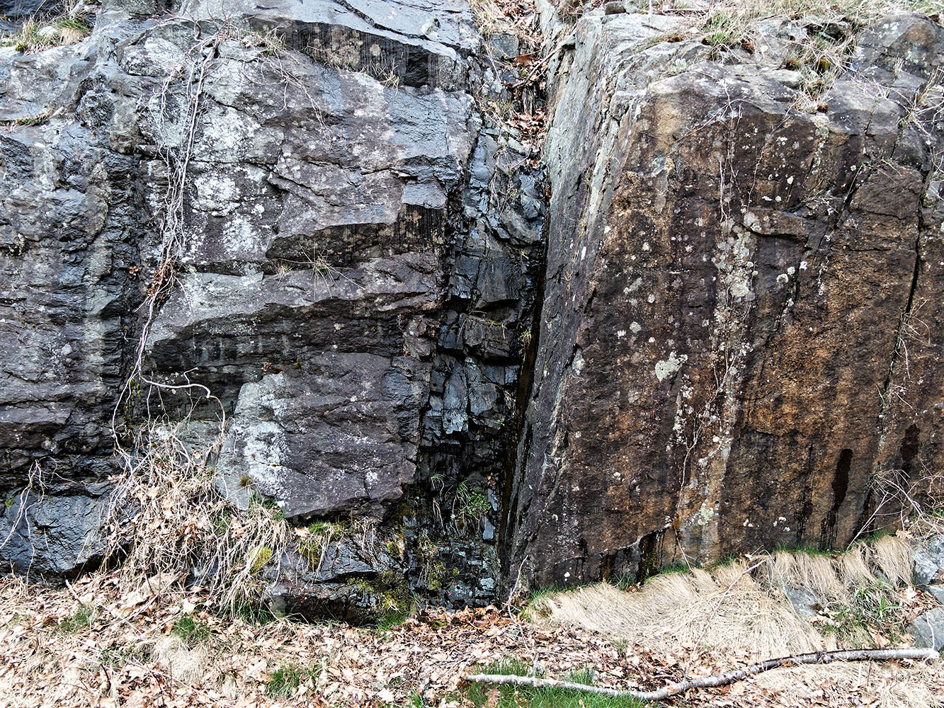 Metabasalt dike in Pedlar Formation gneiss.  Roadcut near Little Devils Staircase Overlook.   This is a feeder dike that probably developed about 570 to 700 Ma ago when Rodinia was rifting and the Iapetus Ocean was developing.  Magma that reached the surface contributed to the Catoctin Formation.