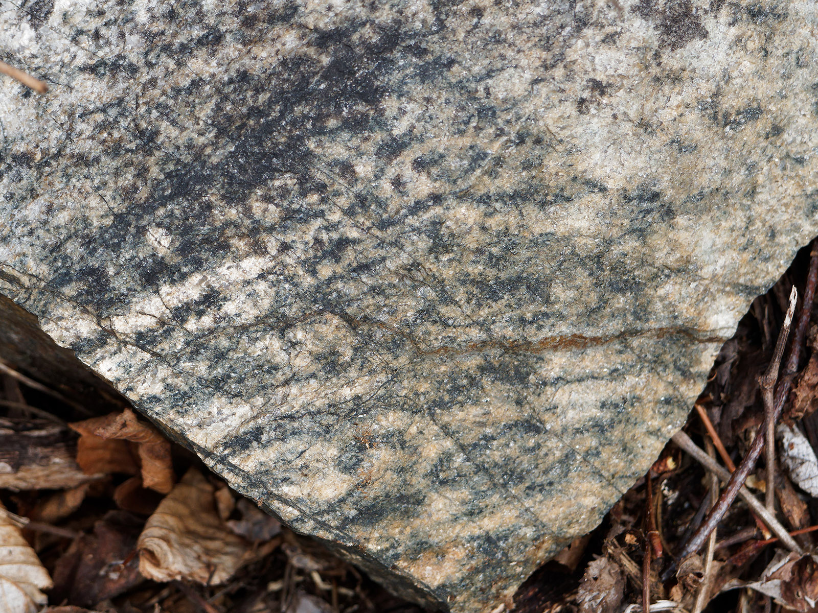 Granite gneiss showing foliation.  Granite gneiss contains quartz, high potassium feldspar and low concentration of iron and magnesium minerals.  Foliation is easy to see.  It is lighter in appearance than granodiorite gneiss.  This is from the Skyline Drive road cut next to Bacon Hollow Overlook.