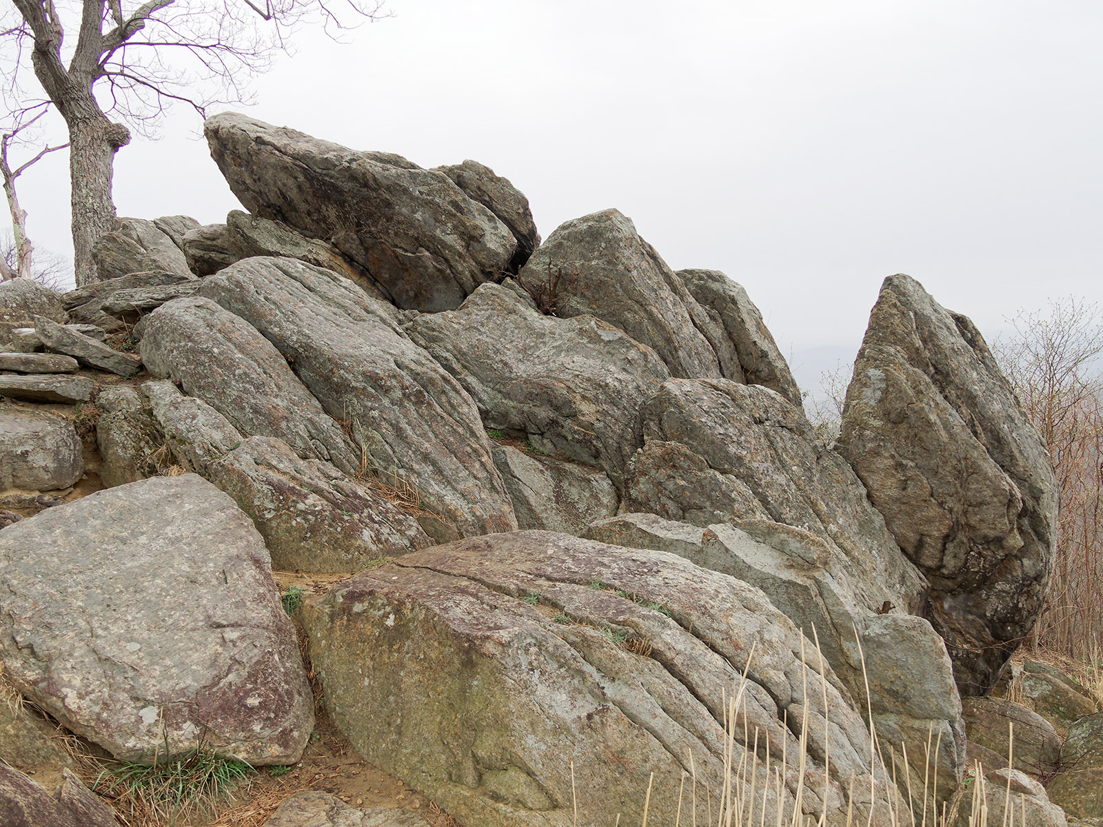Highly weathered granite gneiss at Hazel Mountain Overlook.