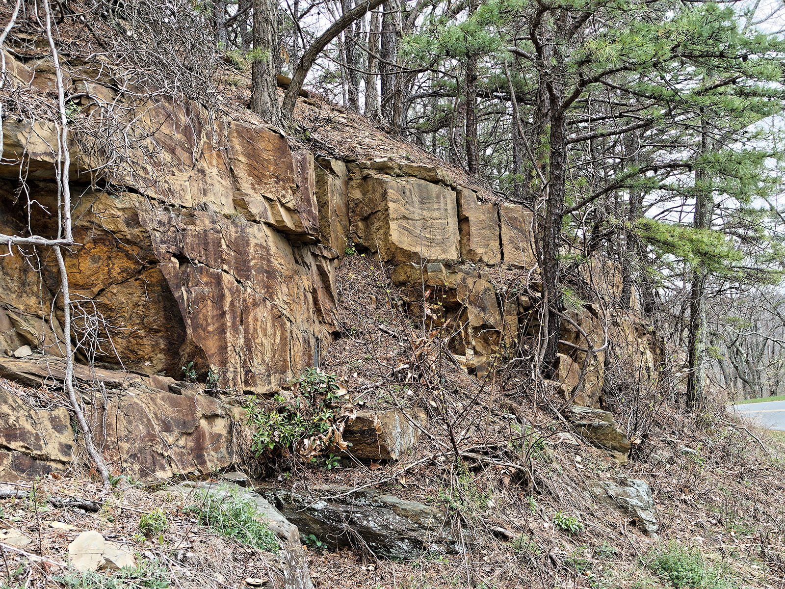 Weverton Formation sandstone in road cut next to Sawmill Ridge overlook.