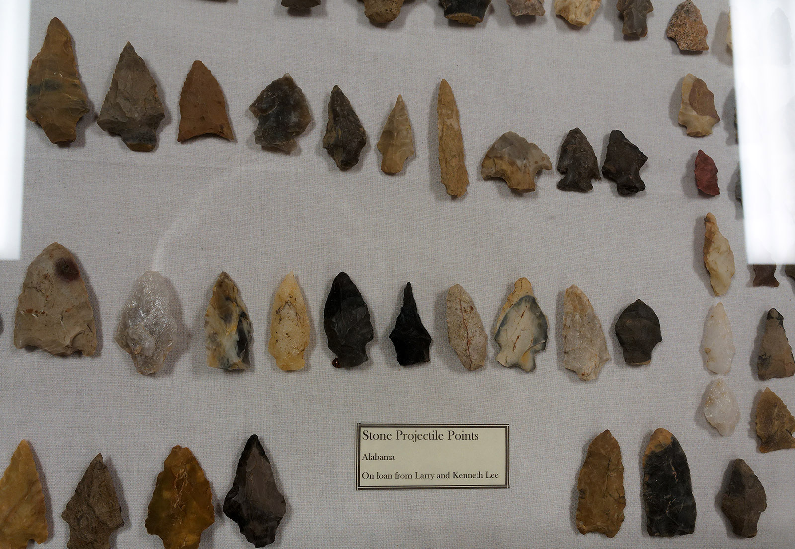 Projectile points (mostly chert) collected in Alabama.  Indigenous populations trace back 10,000 years before European fortune hunters and colonialists penetrated what is now Alabama.  Beginning in the early 1800’s, cultural groups designated as Cherokees, Choctaws, Creeks, Chickasaws, Alabama-Coushattas, and Yuchis came under pressure from U.S./European settlers in the form of warfare, other assaults on land, and spread of non-native diseases.  In the 1830’s, the majority of Native Americans were forced from their land to make way for cotton plantations and other European American expansion.