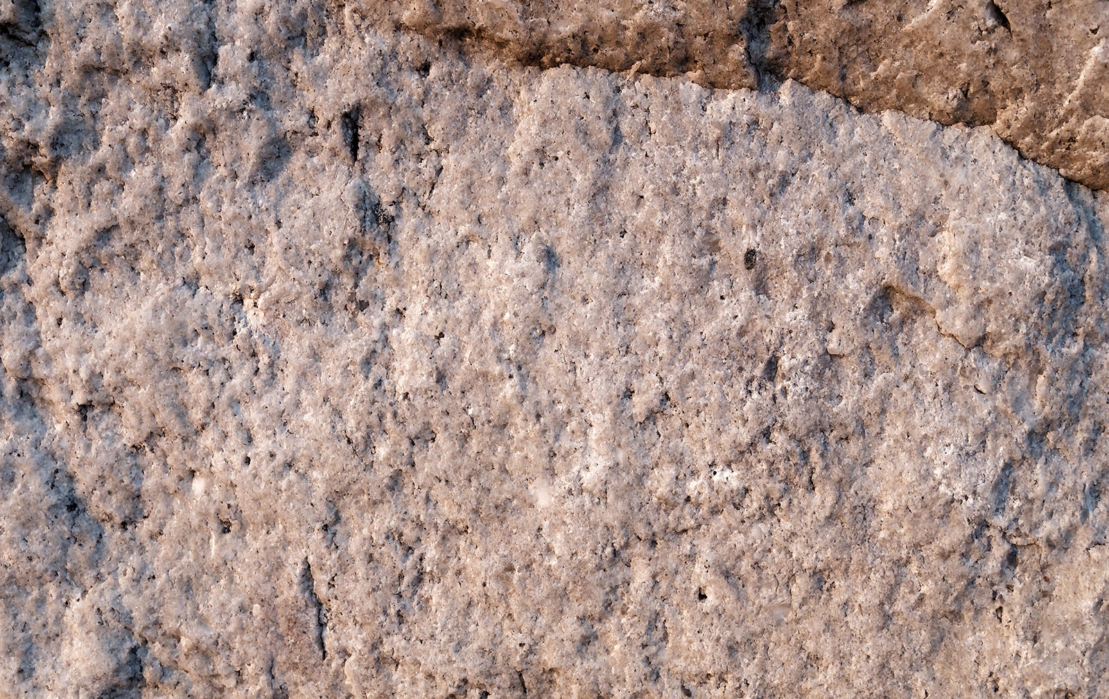 Quartzite from Cheaha Mountain