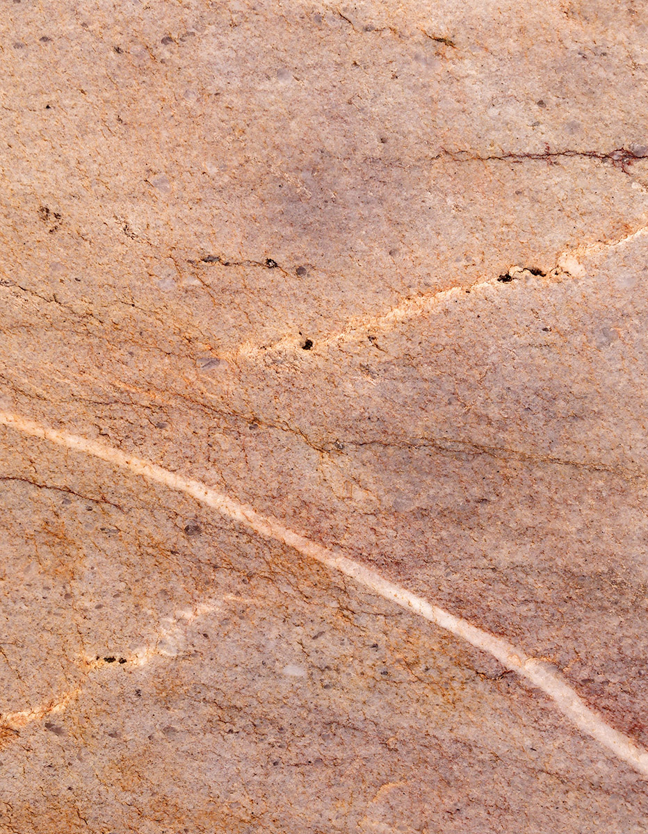 Metamorphosed sandstone with quartz vein.  Cheaha mountain.