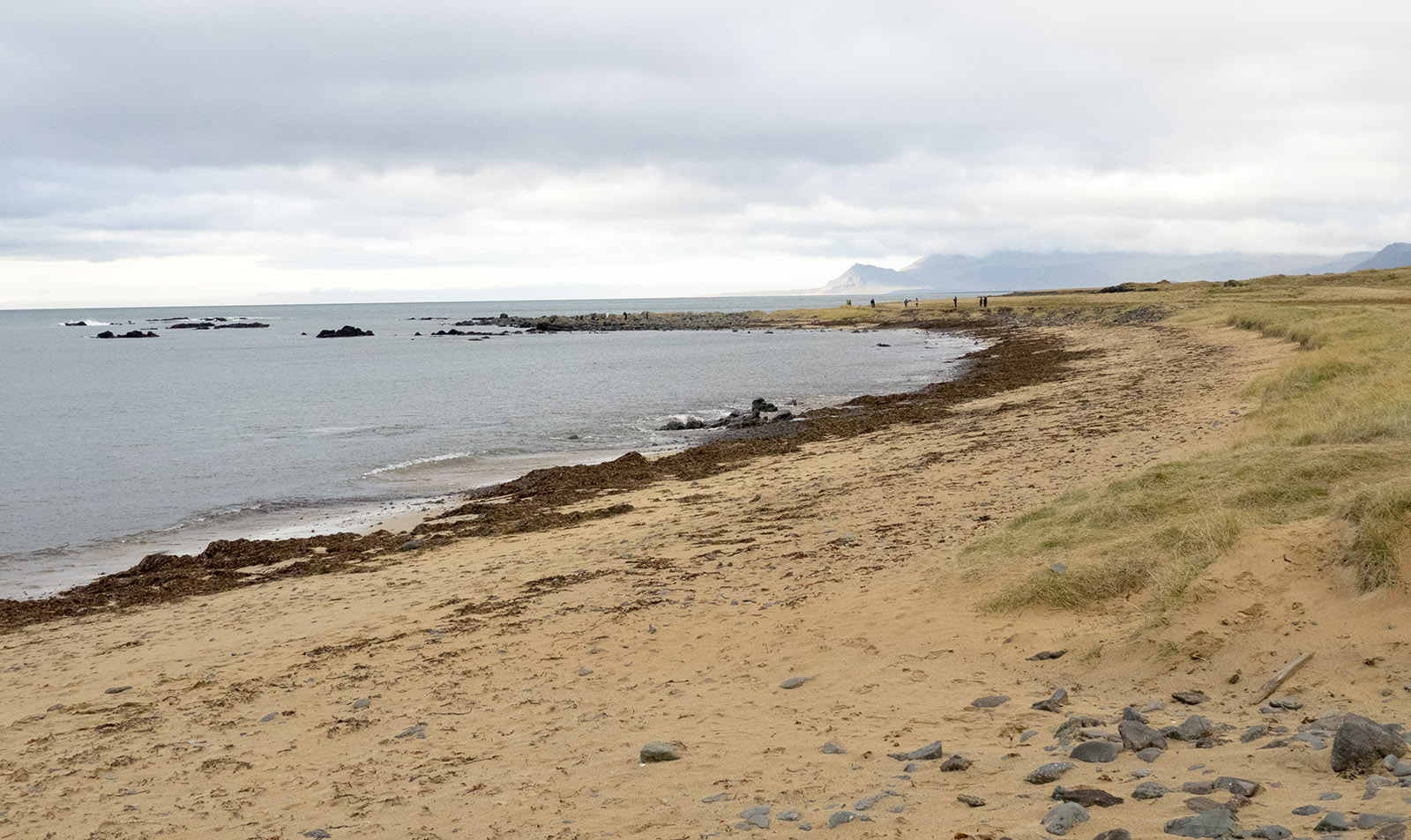 The coastline and beach at Ytri Tunga.  Lighter colored sand may be the result of higher density fragments of olivine crystals (magnesium sulfate) and plagioclase from a nearby volcano that erupted (5,000-8,000 years ago) that was rich in these minerals (Búðaklettur.)  Erosion and water flow could account for its location on this beach.  Most of the beach sand we observed on our Iceland trip was black due to the high basalt content (rich in iron and magnesium).