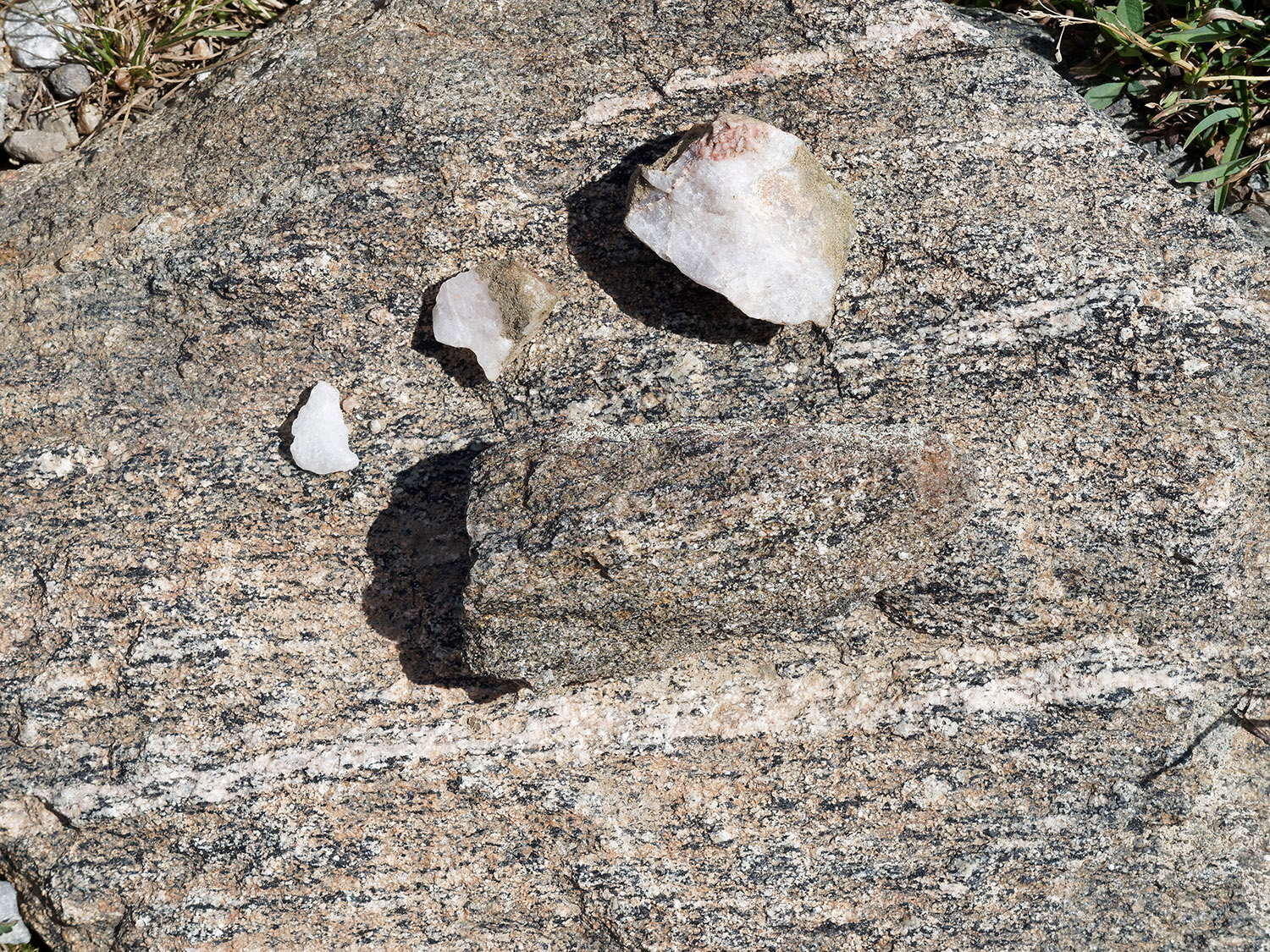 Lighter colored pegmatite, a quartz-rich igneous rock, sits on granitic gneiss a metamorphic rock which forms most of the Precambrian rock surface (>540 MA) at Beartooth Pass and Plateau.
