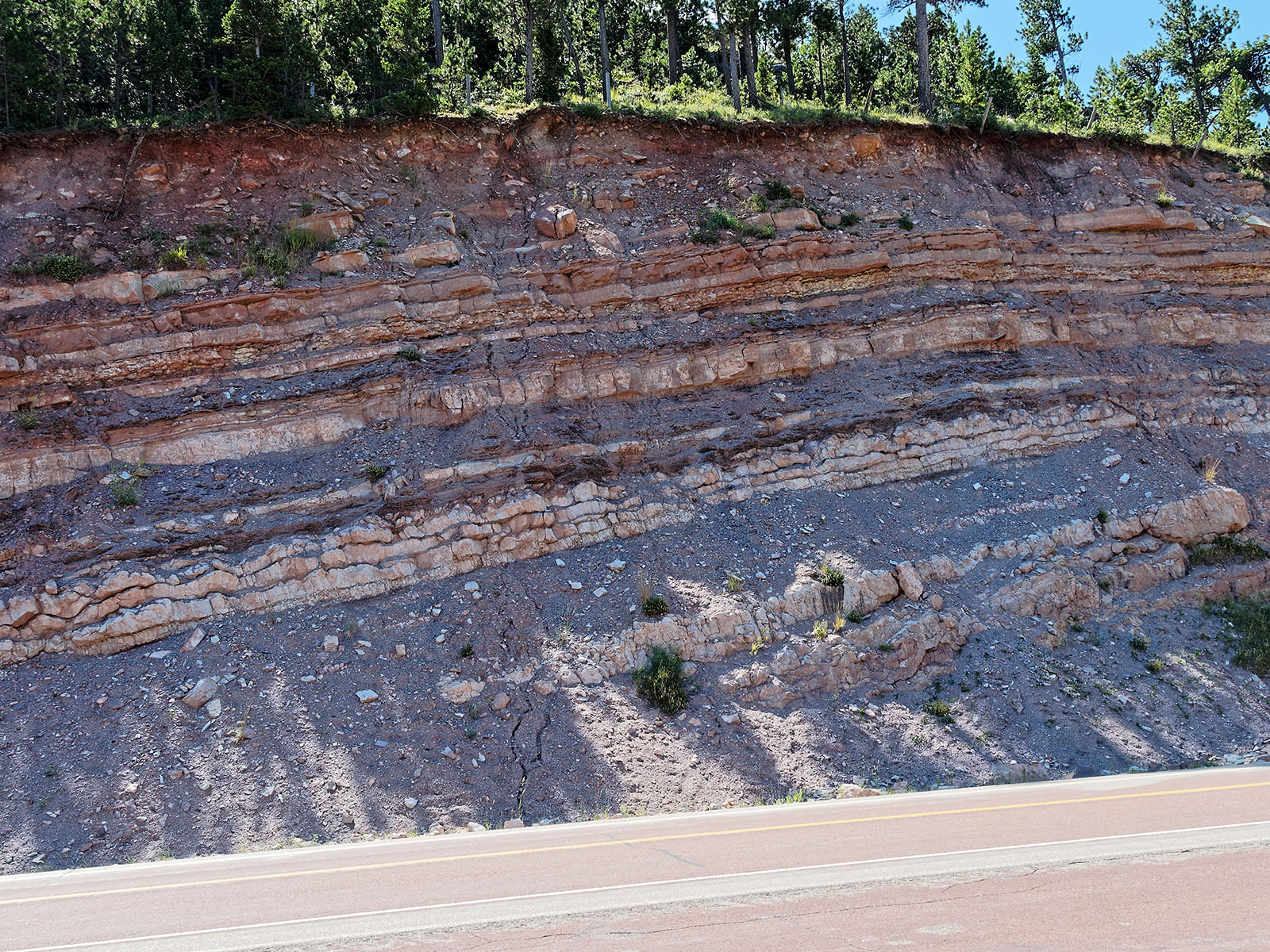 Road cut sedimentary layers from the Amsden formation (Pennsyvanian period 280-325 MA) composed of thin layers of red shale, limestone, dolomite, sandstone and siltstone deposited from the shallow overlying Western Interior Seaway.