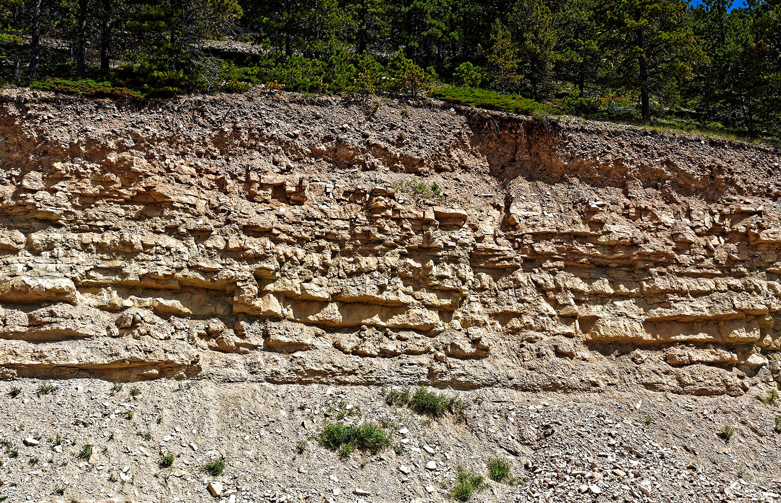 Darby formation from the Devonion period (360-410 MA) composed of predominantly of weathered limestone and dolomite.
