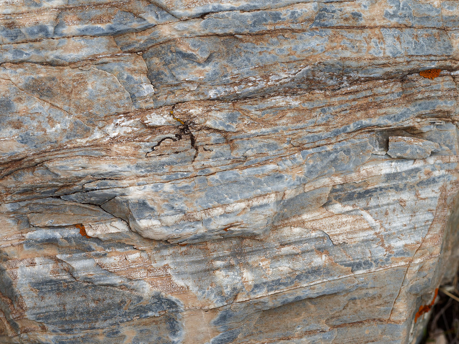 Detail of dolomite rock which along with gneiss, schist and amphibolite are the main metamorphic rocks found in the land slide debris.
