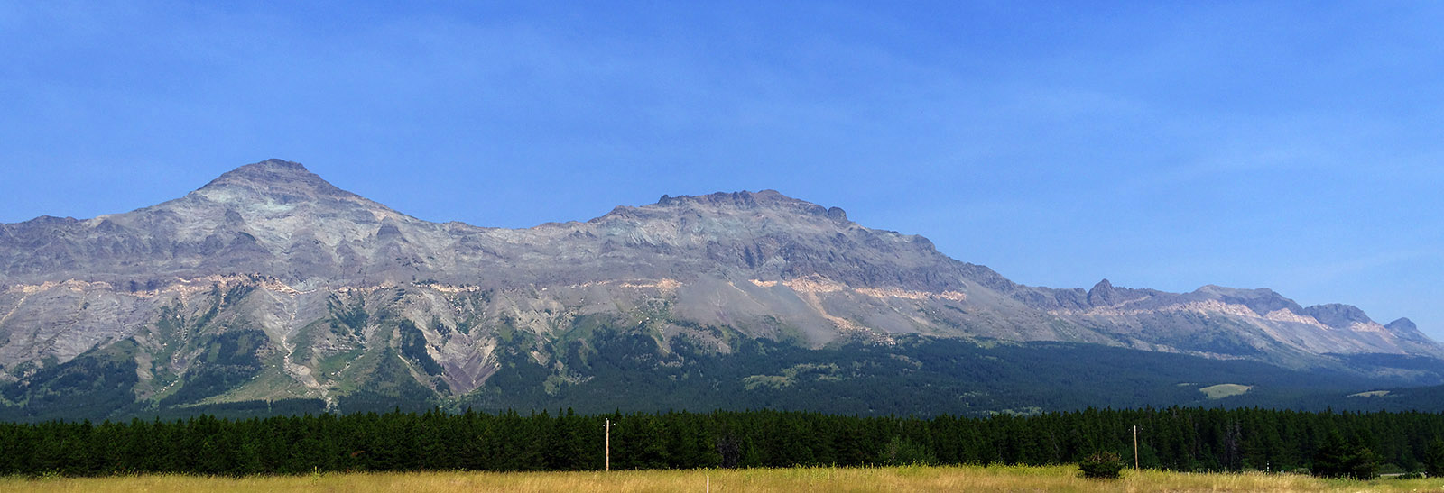 View from US Highway 2 at the Marias Pass looking North.  The Lewis overthrust fault runs along the junction between forest and paler upper levels to the right of the field.  Precambrian sedimentary layers overlie younger Cretaceous layers.