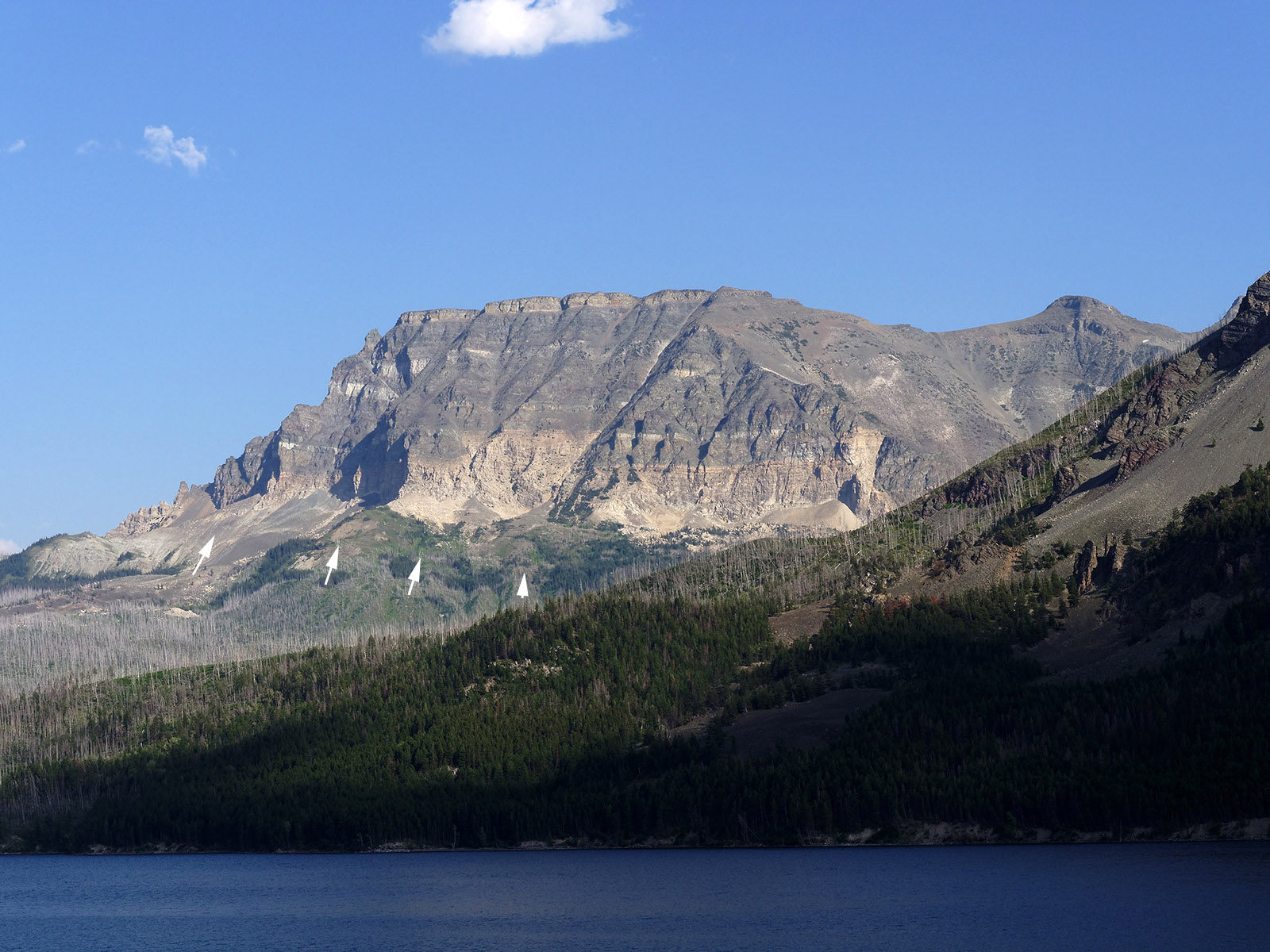 Curly Bear Mountain at the eastern entrance to Glacier National Park.  The Lewis Overthrust Fault extends (arrows) with Precambrian strata over Cretaceous layers.