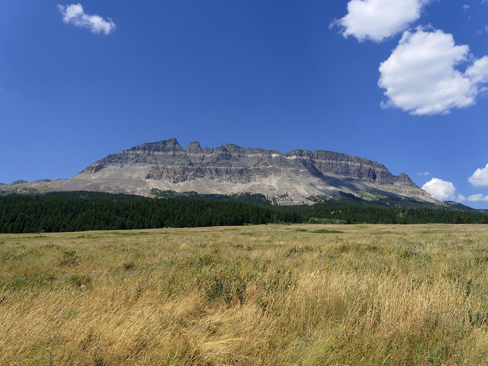 Singleshot Mountain with Appekunny over Altyn Formation.