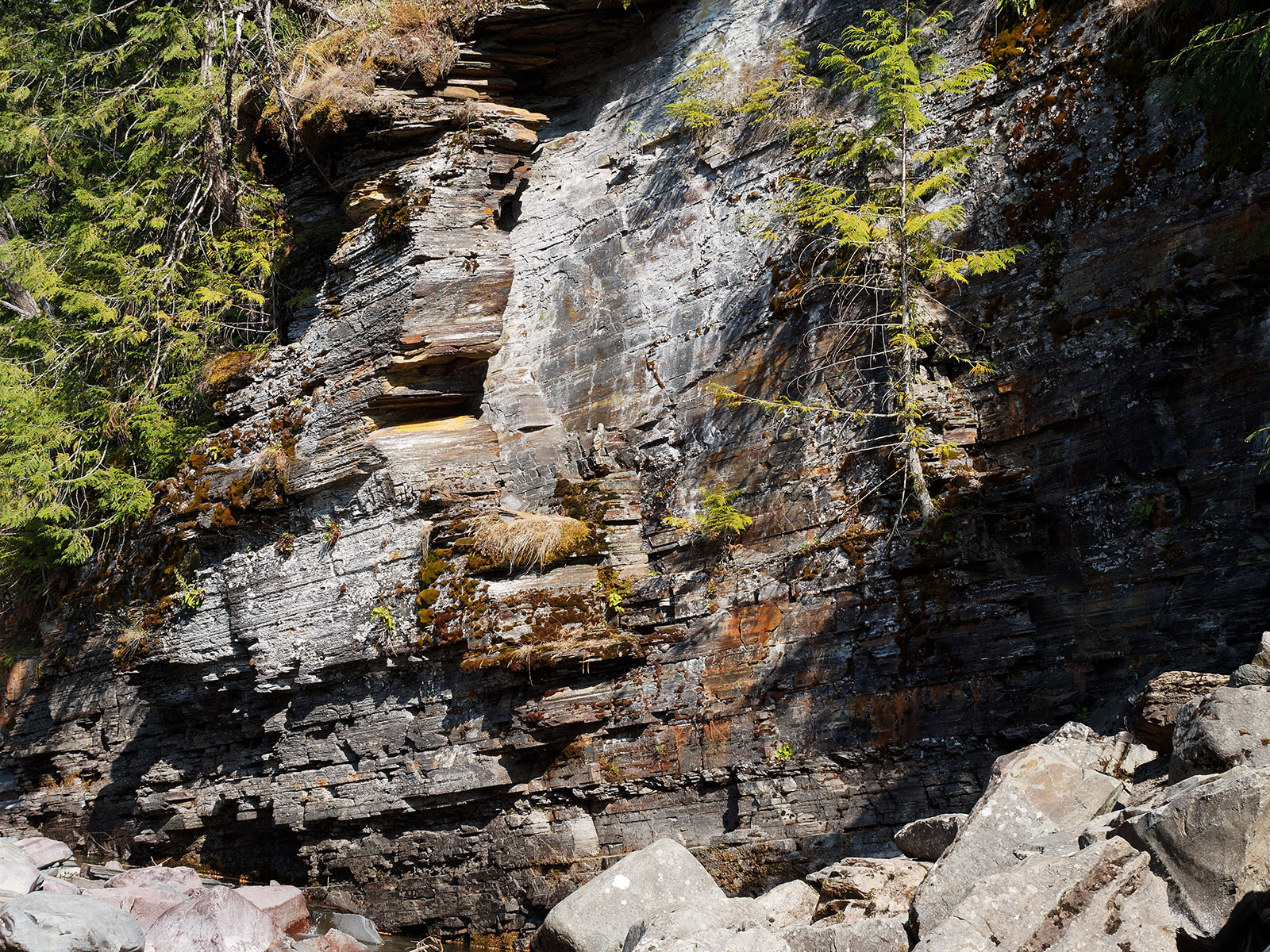 The Prichard formation along with the Altyn formation are the two oldest formations in Glacier National Park.  Prichard formation is only found on the West side of the park.  It is composed of thin layers of black argillite and siltite that were deposited in deep ocean waters.  Radioisotope labelling studies date it at 1.7 to 1.3 billion years.  Argillite is metamorphic rock of sedimentary origin derived from recrystallized clay materials.  Siltite is derived from very fine mineral grain deposits.  All were formed in low-oxygen conditions.  The rust-colored material on the weathered surface is from iron sulfide minerals being oxidized as it leaches from the formation and interacting with current atmosphere.