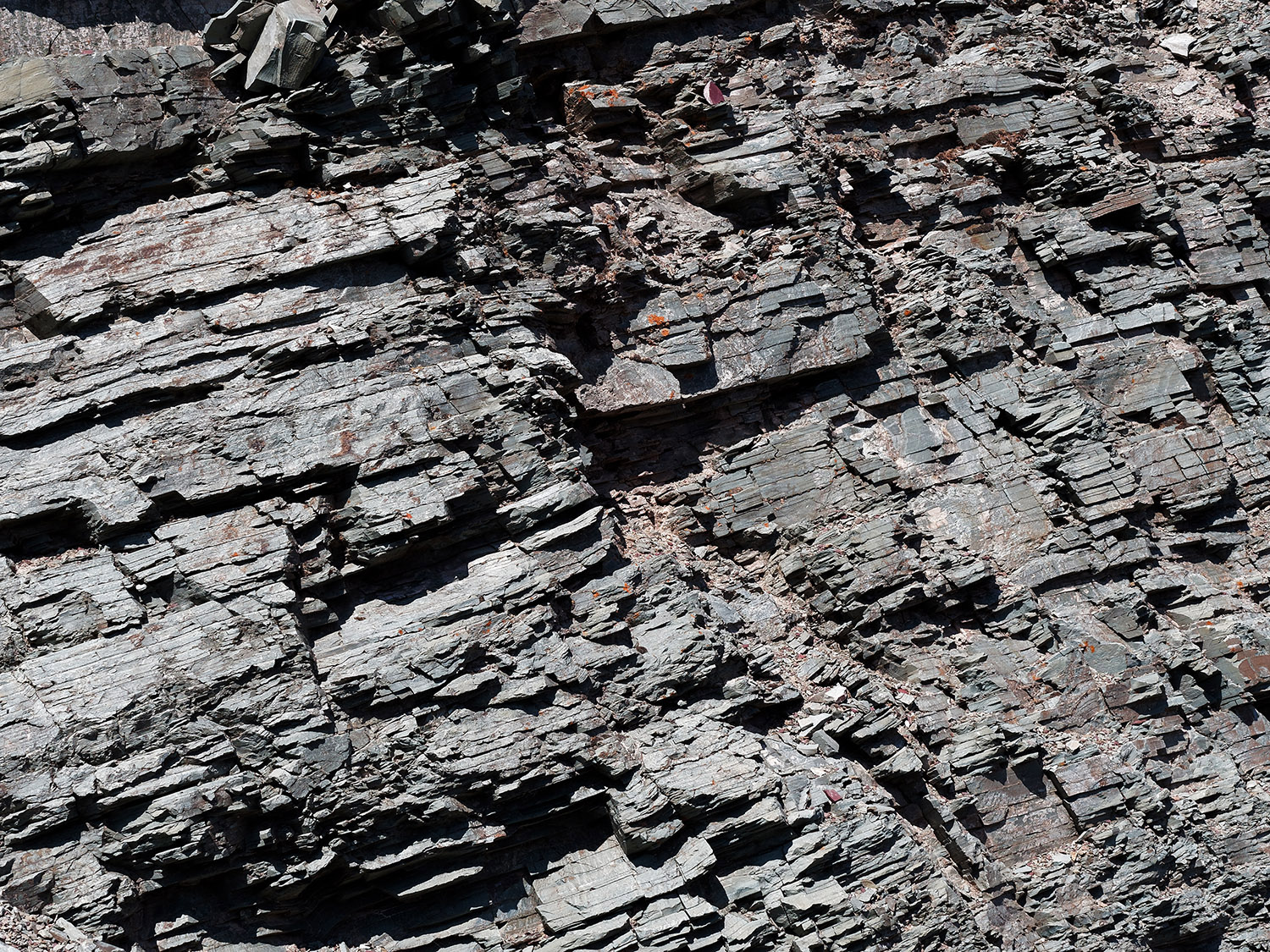 Laminated beds composed mostly of argillite in the Appekunny formation.