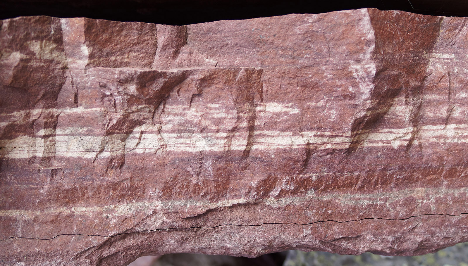 Grinnell formation:  Fine striations of quartzite in agrillite.