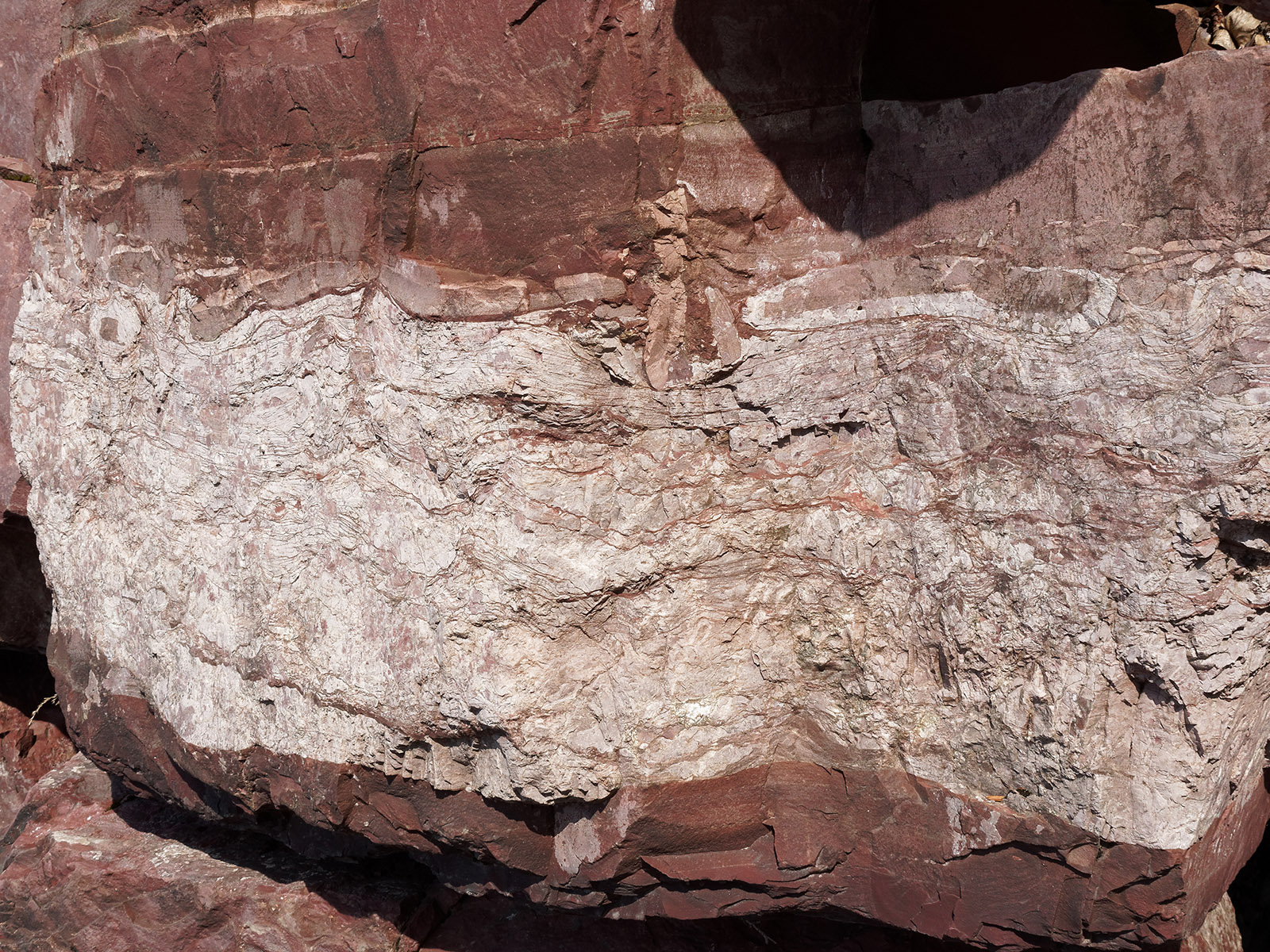 Grinnell formation:  Large white bands of quartzite.