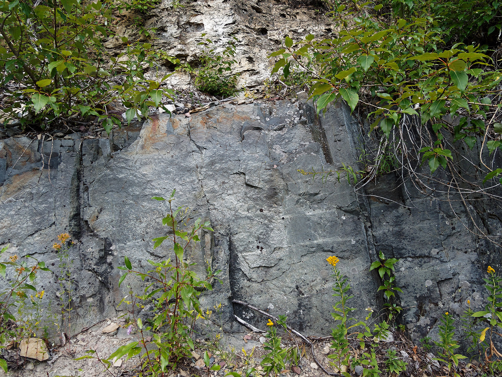 Igneous sill in Helena formation.  A thick layer of diorite is an igneous intrusion that occurred in the sedimentary layer.  Diorite is an igneous rock with characteristics intermediate between granite and gabbro with respect to silica, iron and magnesium concentration.