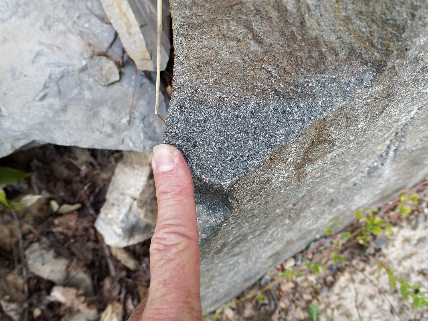 Detail of diorite in the sill.