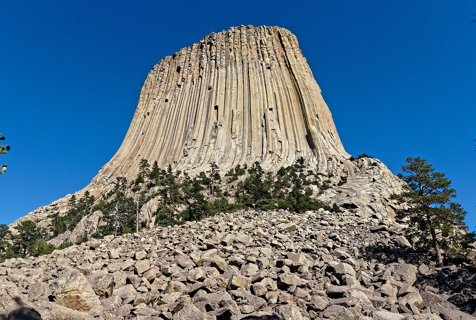 Devils Tower was created by protusion of magma from deep layers of the earth through Cretaceous sedimentary layers approximately 56 to 66 years ago.  The magma cooled at a speed that allowed the formation of jointed columns with 4 to 6 sides.  The surrounding sedimentary rock eroded leaving the igneous tower.  There is debate whether this a volcanic vent and that the magma was extruded or that it was intrusive magma flow below ground to form a laccolith  and subsequently was eroded to expose the igneous body.