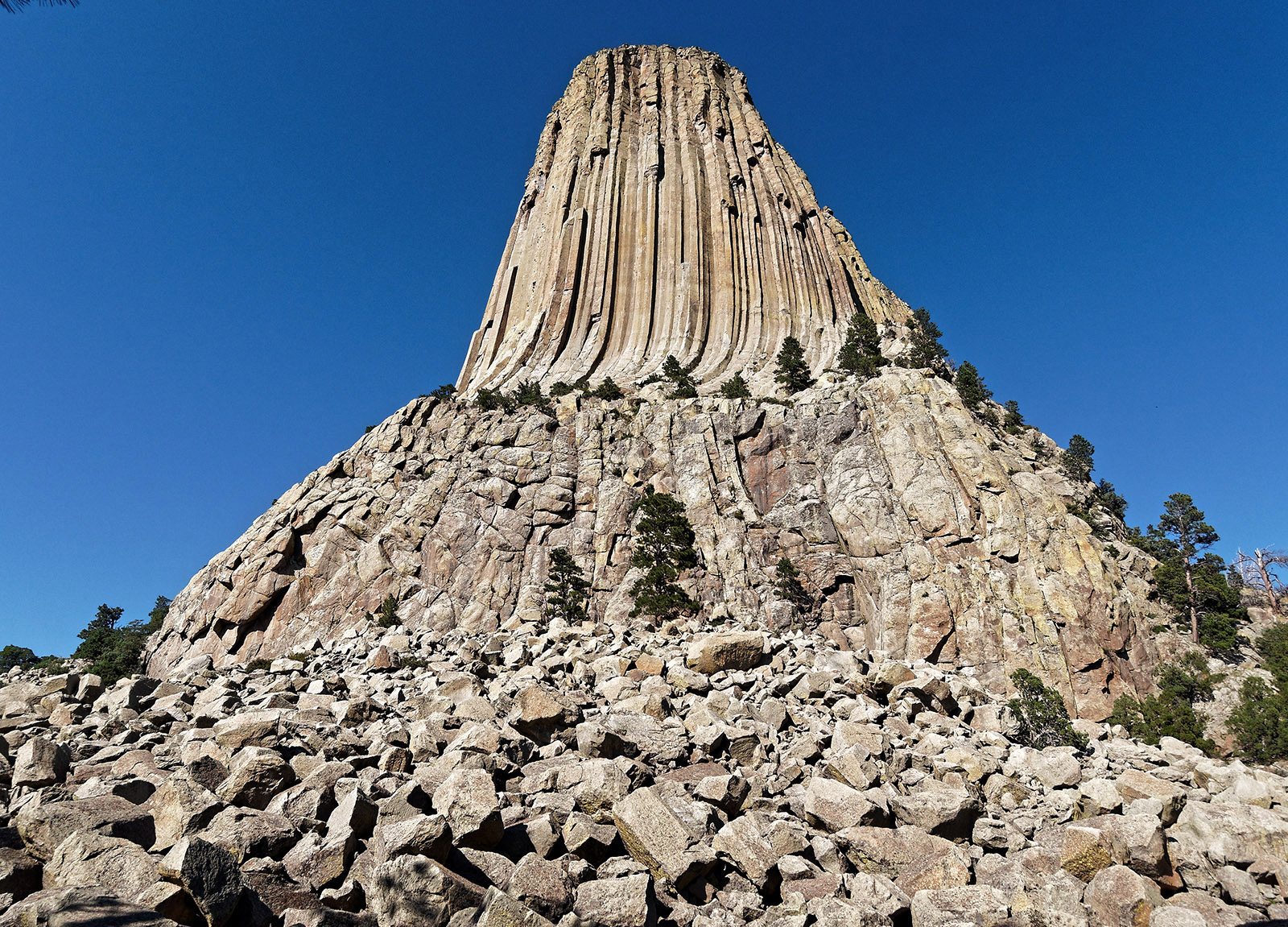 The bulbous base at the foot of Tower is often cited as evidence that Devils Tower is a laccolith, rather than a volcanic vent.