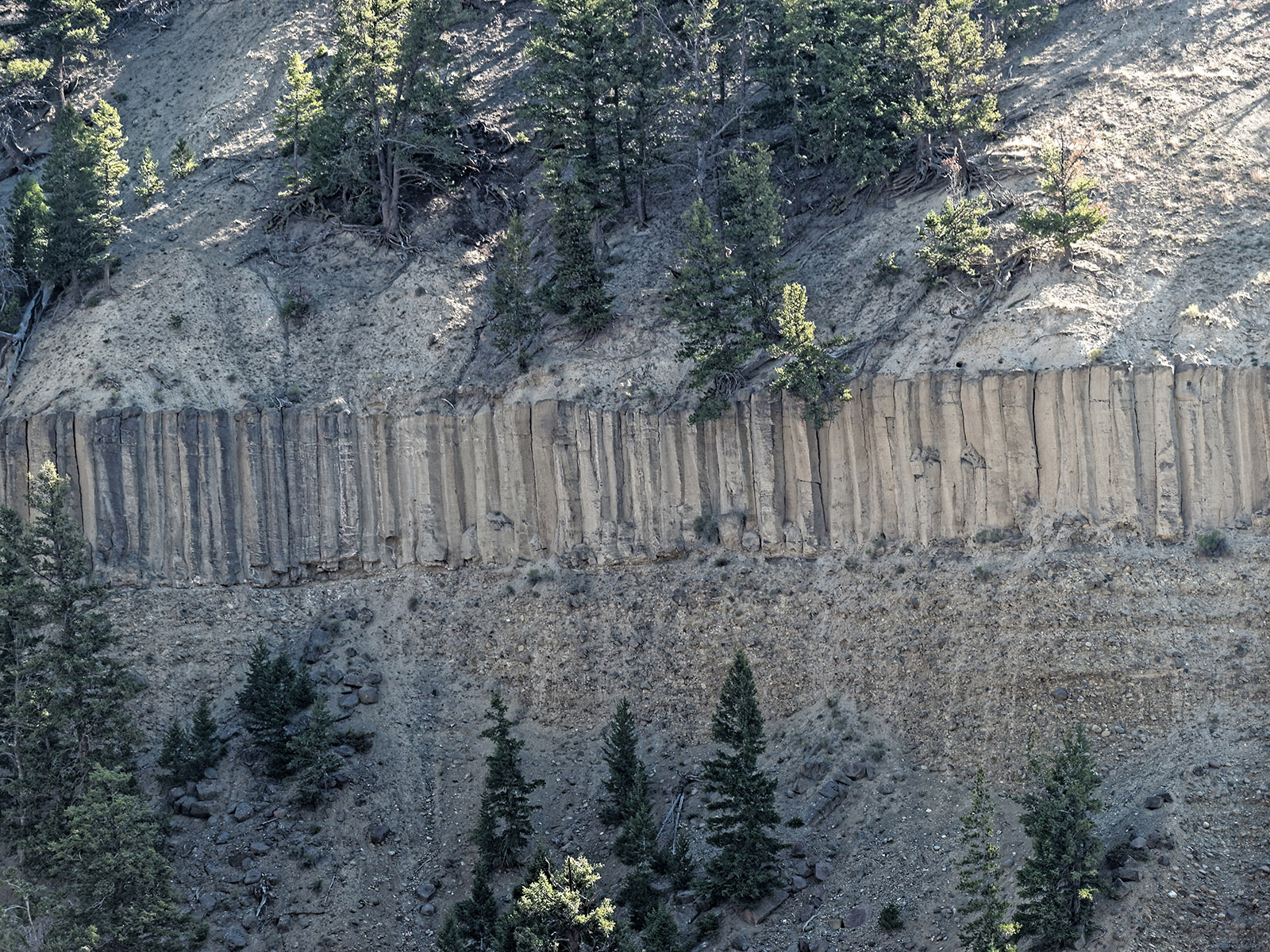 Detail of top columnar jointed basalt.  This silica-poor basalt originated from the Yellowstone Plateau volcanic field to the South.
