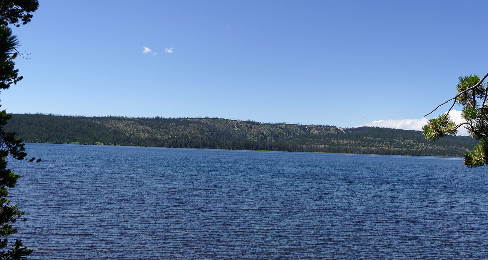 The southern rim of Lewis Lake marks the southern rim of the Yellowstone Caldera which was volcanically active 639,000 years ago.