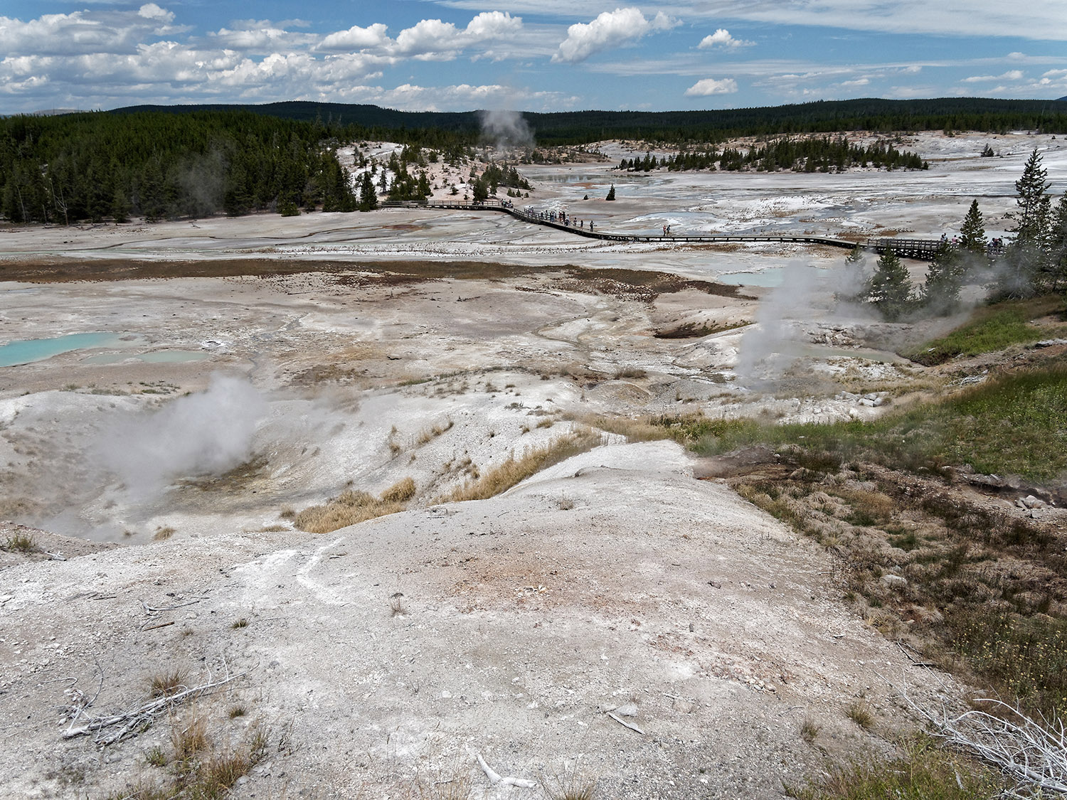 Steam exits fumeroles in the Norris Geyser Basin.  Yellowstone's magma chamber is 5 to 7 miles below the surface and heats the rocks that heat the water for the region's hot springs and geysers.