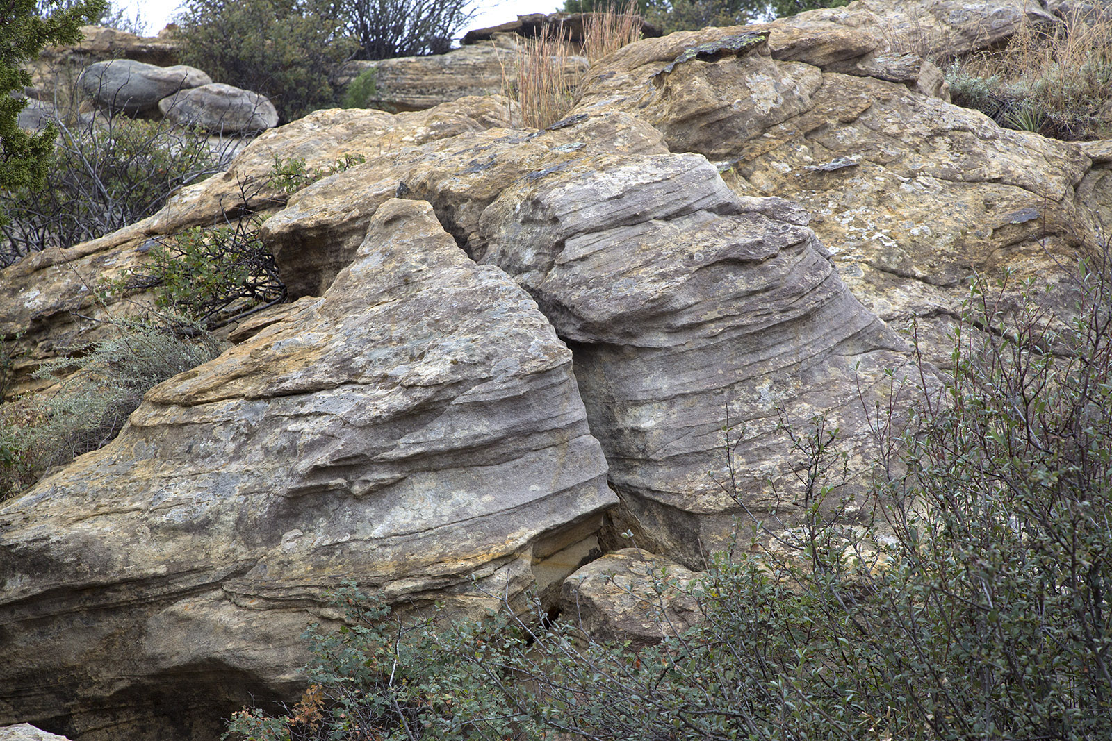 Weathered and eroded sandstone layers from the Cretaceous period on the valley base of Black Mesa near Kenton, OK where the Okie-Tex Star Party was held.
