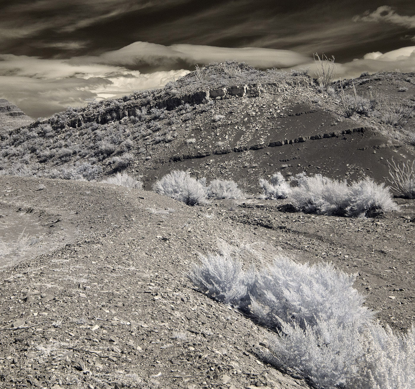 Infrared photo of brush, strata, sky and clouds along the Quebradas National Back Country Byway near stop 2.