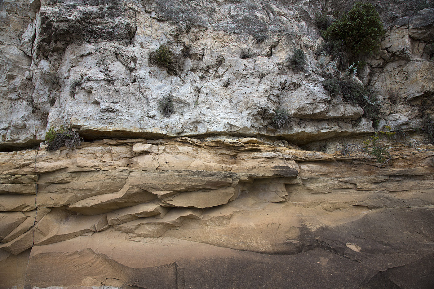 Boundry layer of limestone above and siltstone below on a road cut in Carlsbad Cavern National Park.