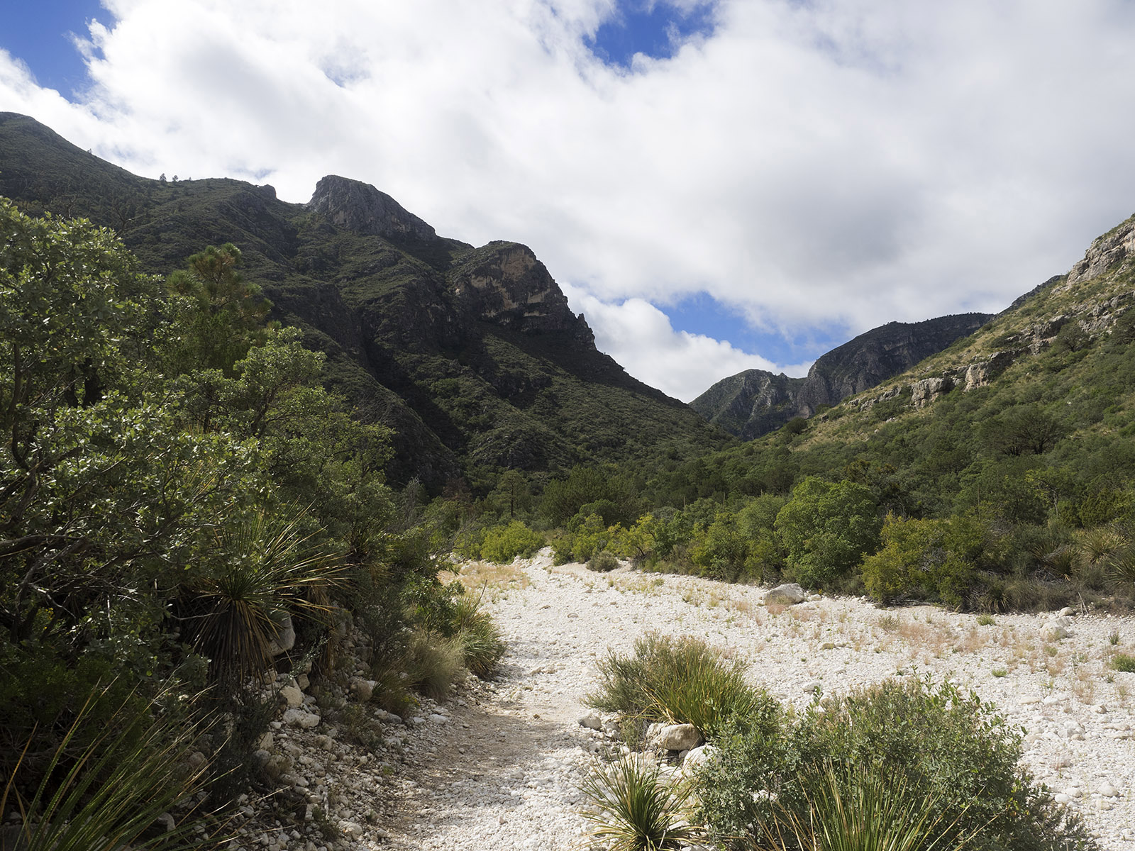 McKittrick Canyon trail offers a 7 mile hike up through sedimentary layers formed from the Capitan reef from the Permian Period.