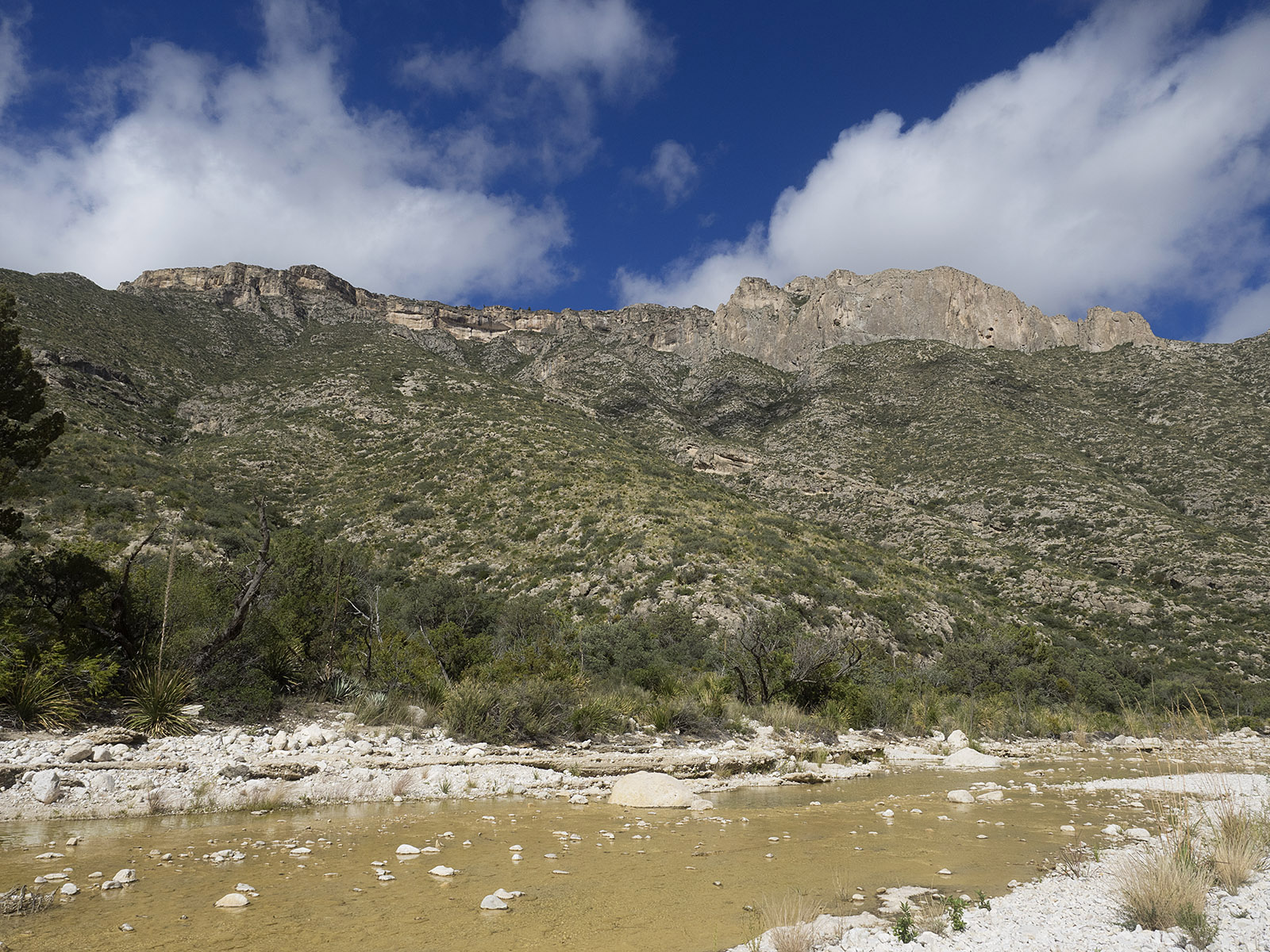McKittrick Canyon showing the top strata of what used to be a tropical reef during the Permian Period.