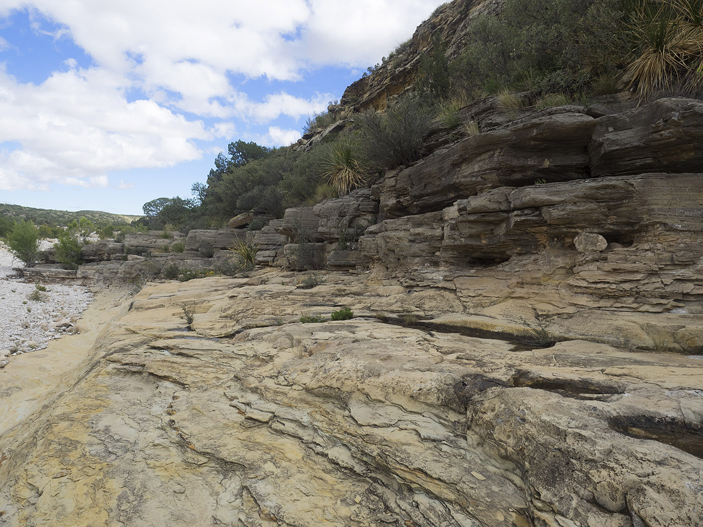 Fossil-rich limestone strata along the trail in McKittrick Canyon.